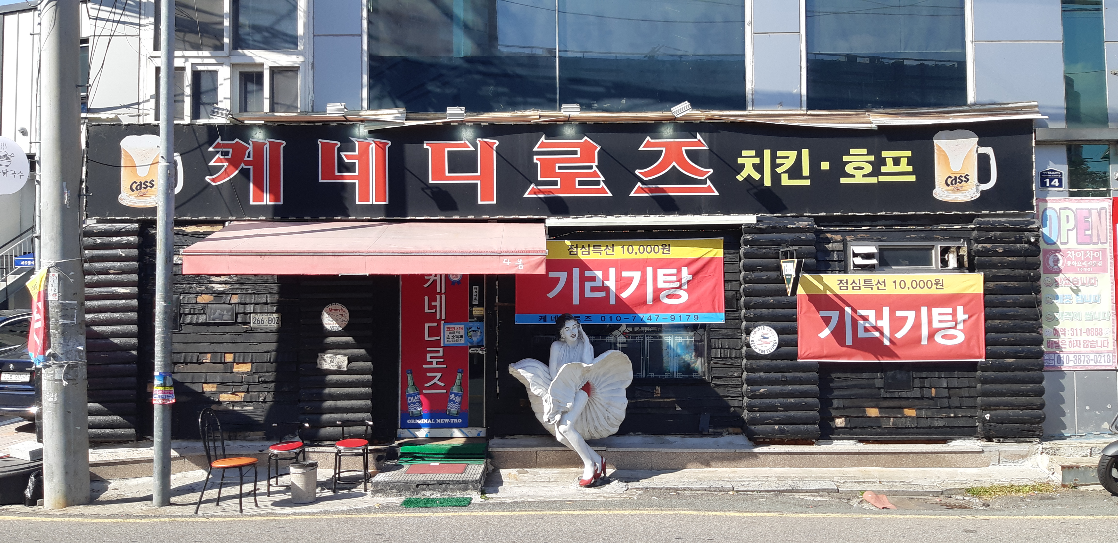 케네디로즈 사진 6