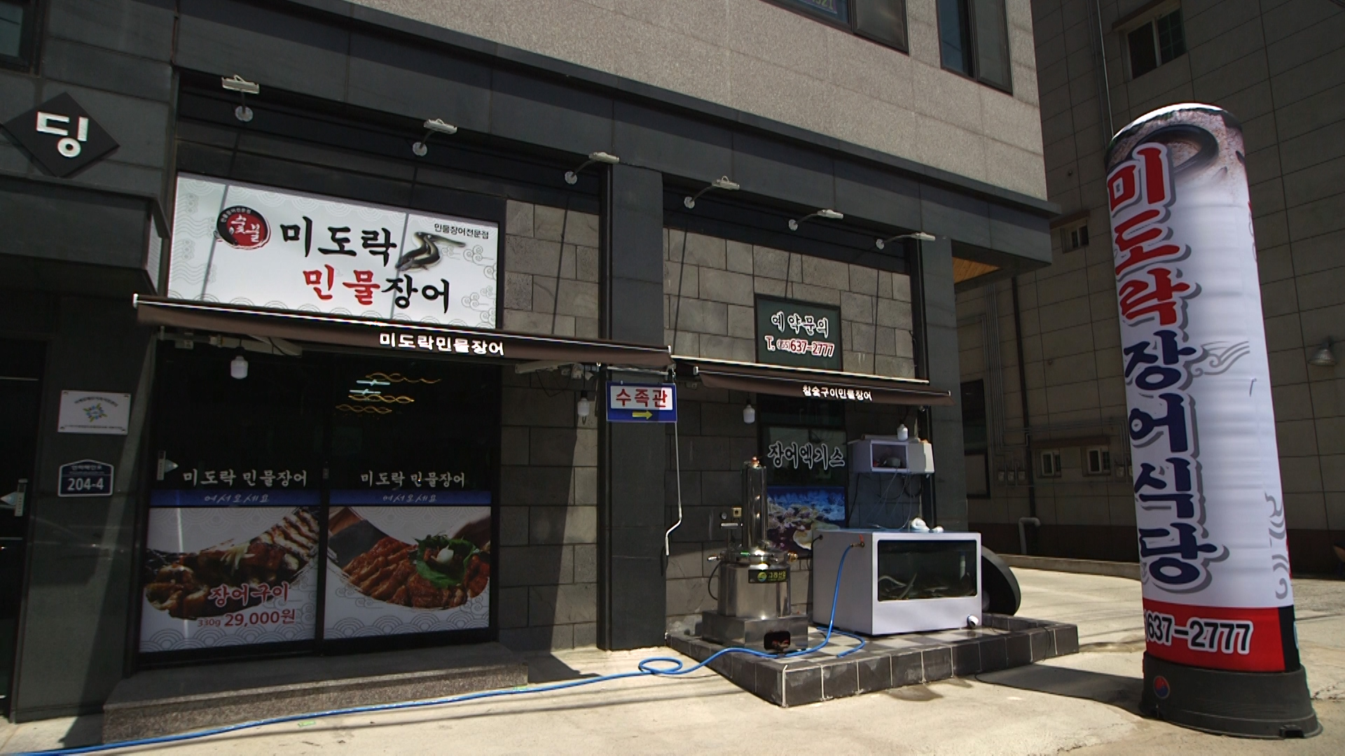 미도락민물장어 사진 4