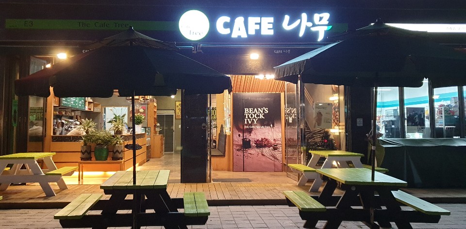 카페나무 사진 2