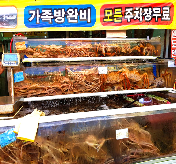 기장 청해왕대게 사진 6