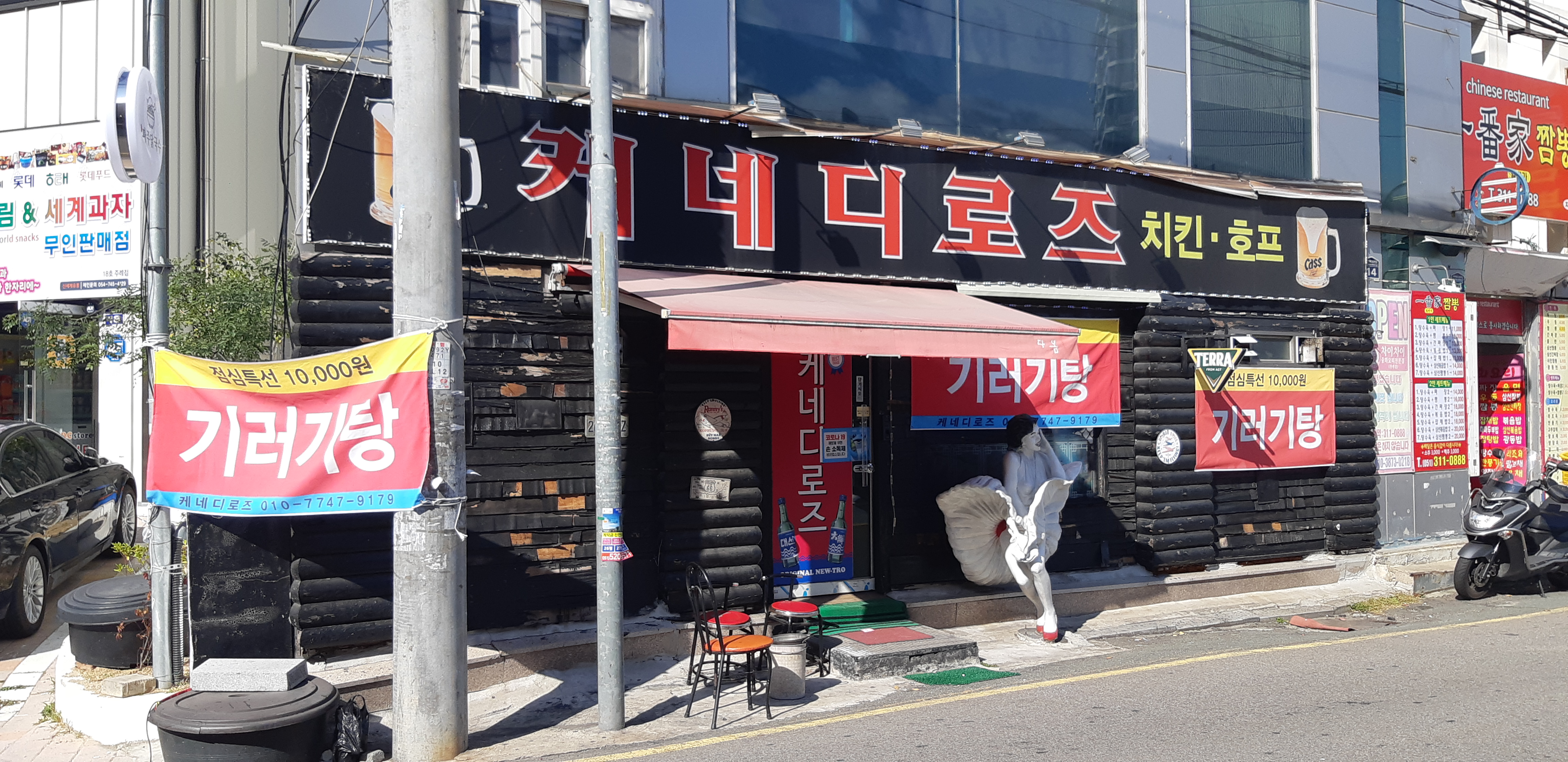 케네디로즈 사진 4