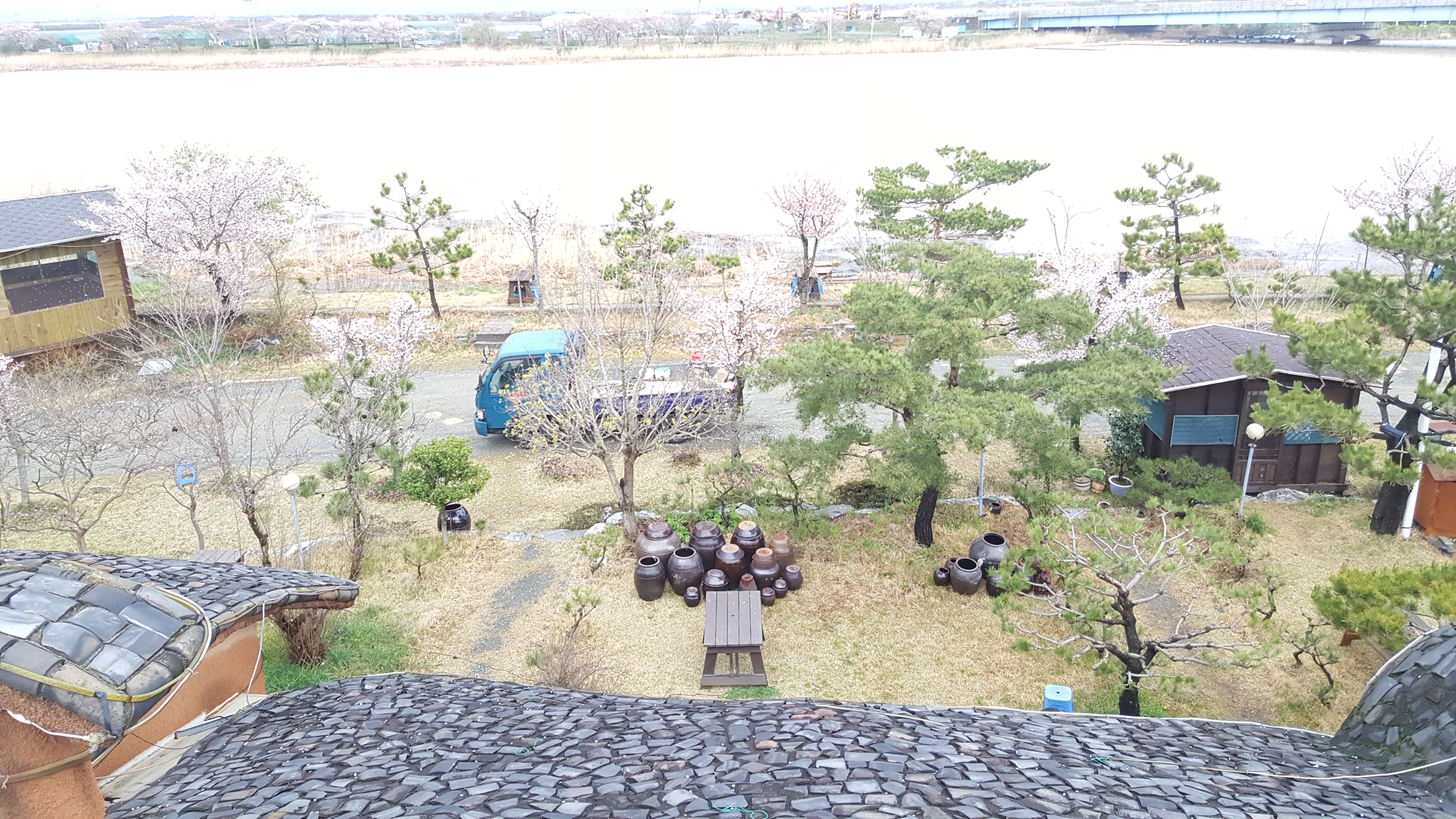 토담바다장어 사진 8