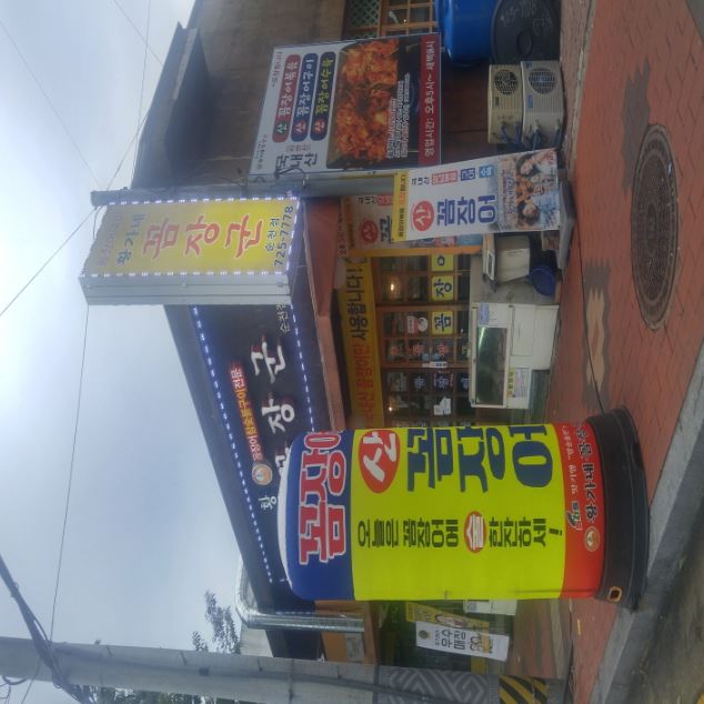 황가네꼼장군 사진 2