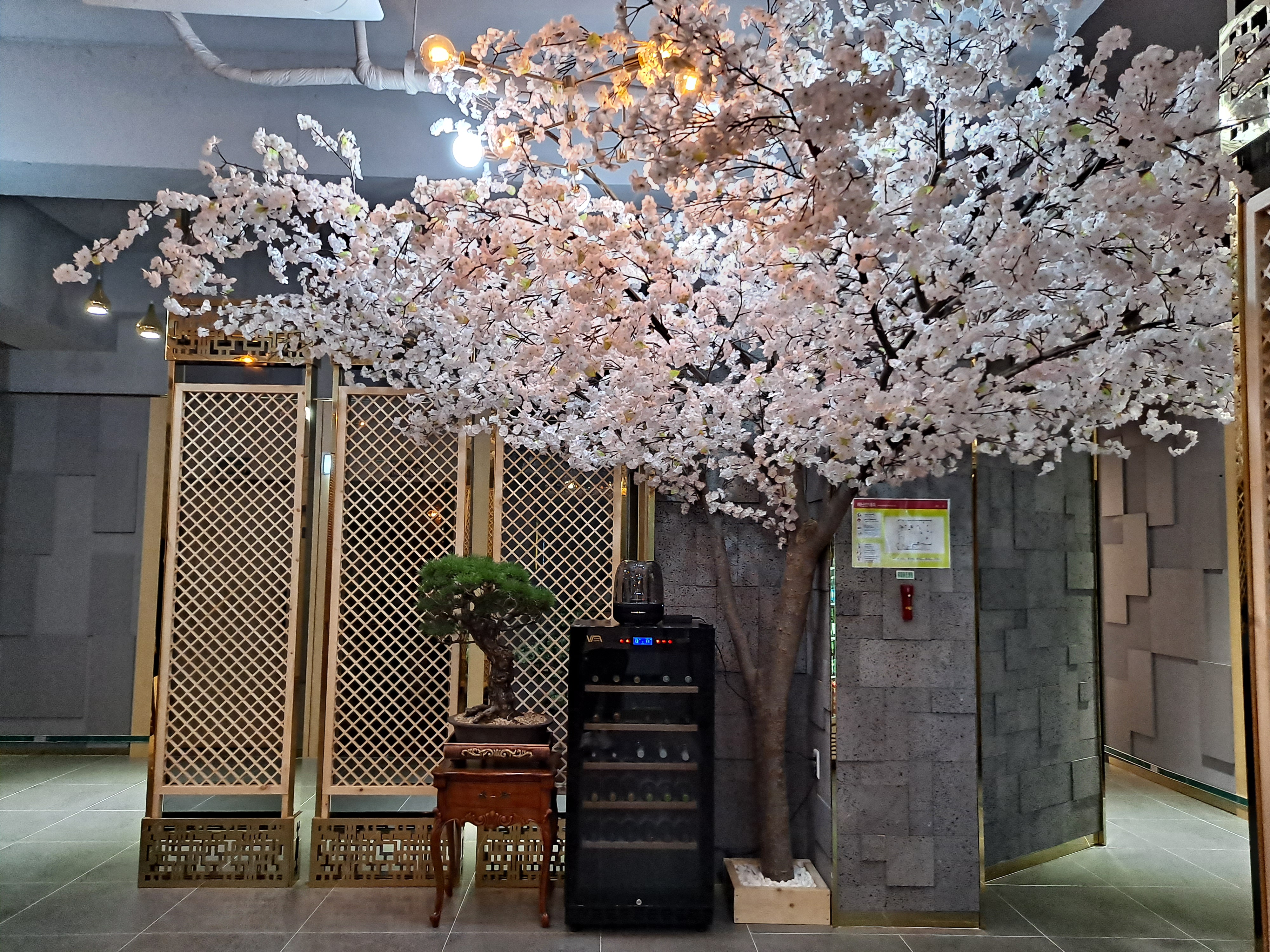 해궁 사진 6