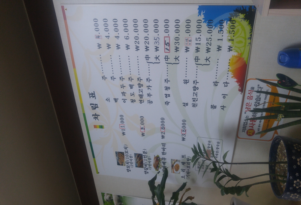삼형제오리 사진 4