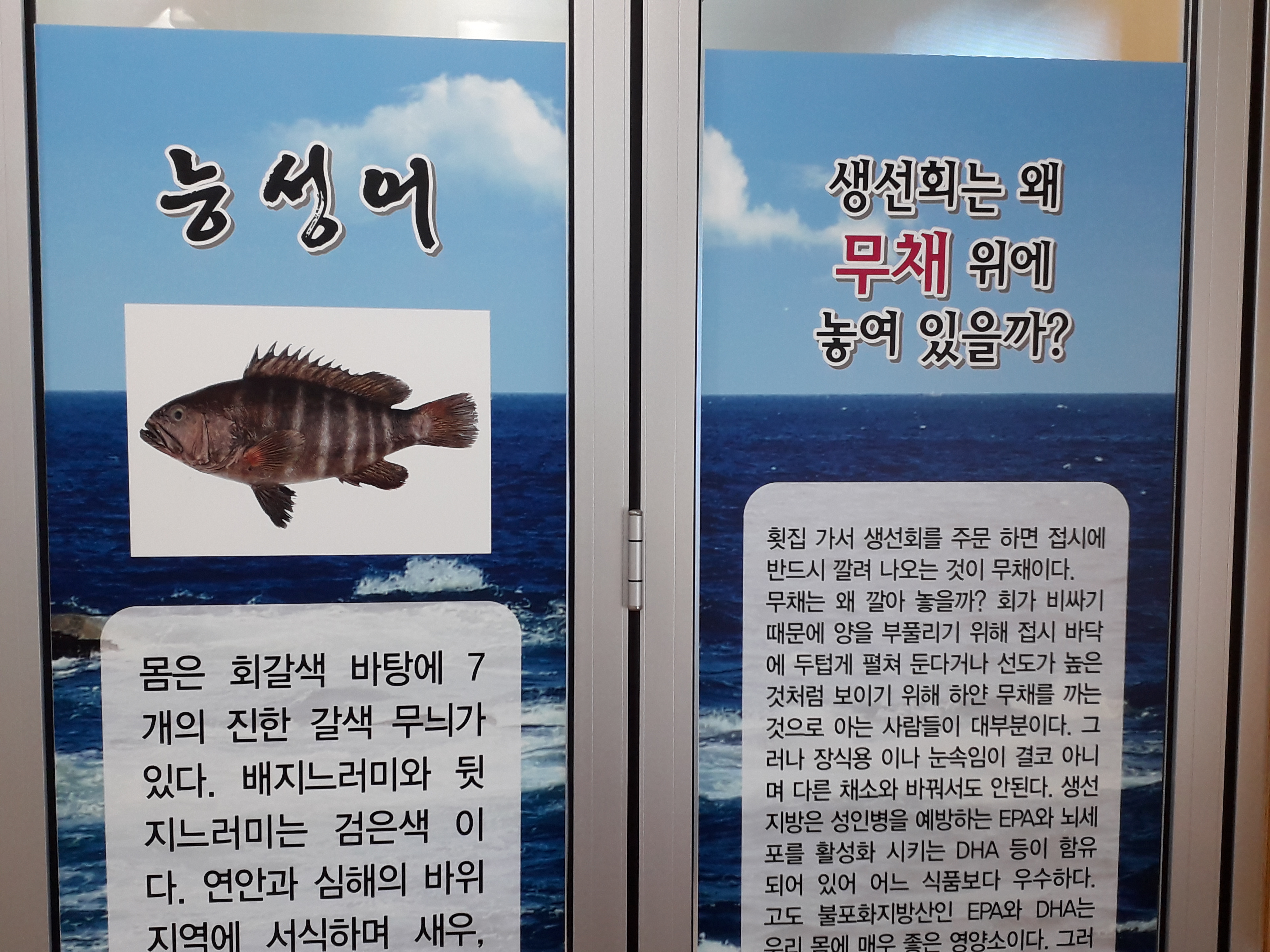 미도자연산회 사진 4