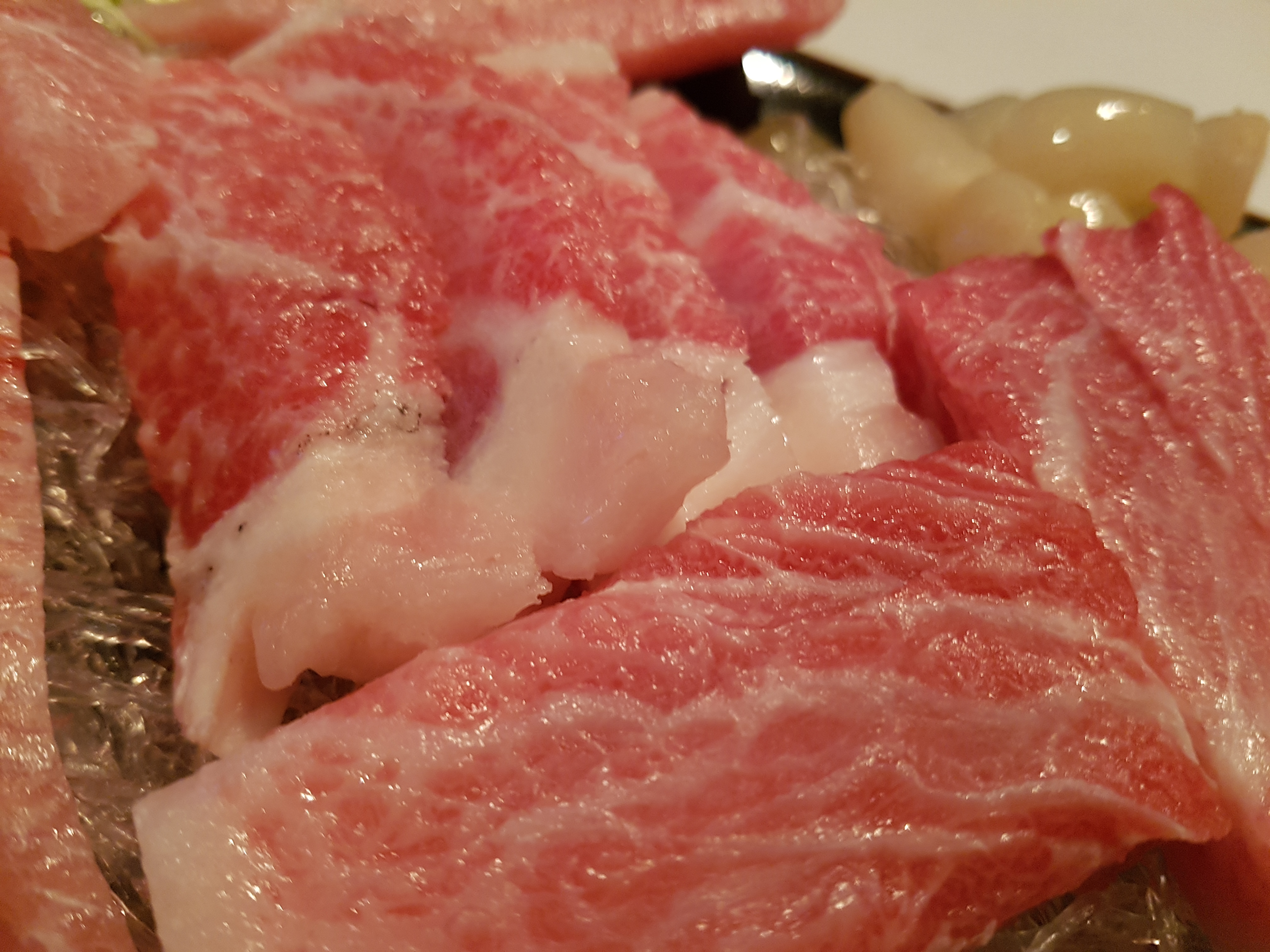 토모 사진 2