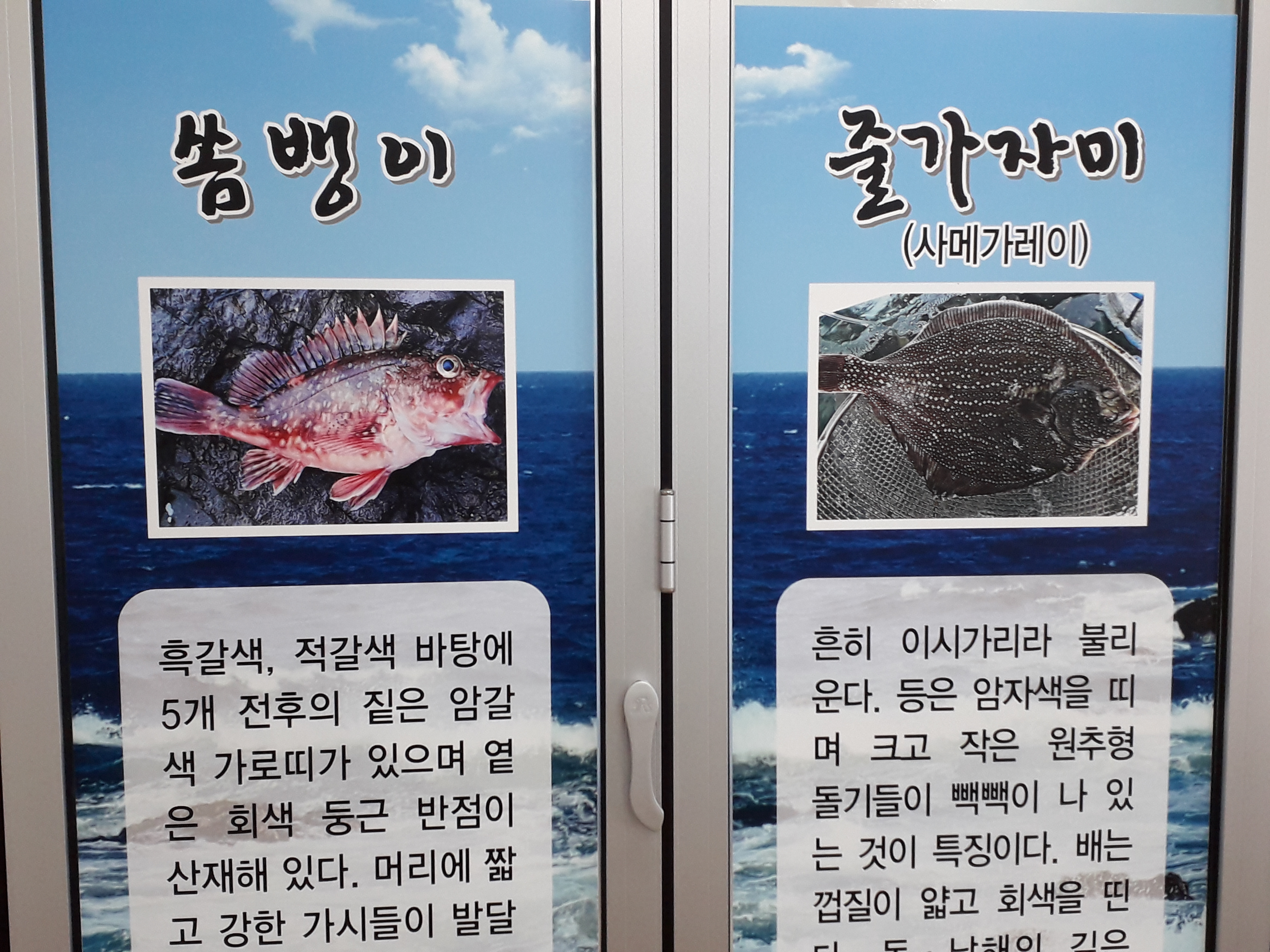 미도자연산회 사진 3