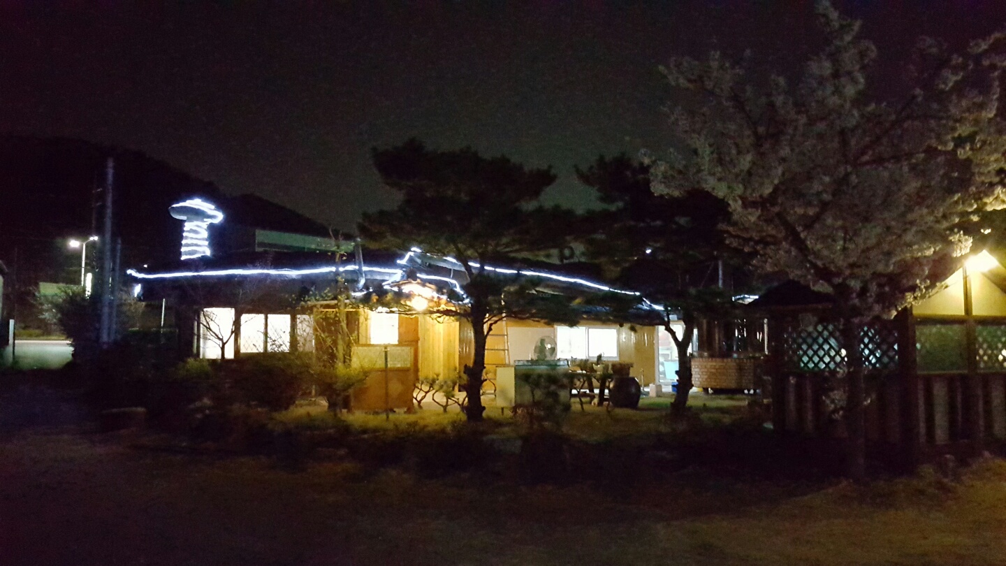 토담바다장어 사진 4