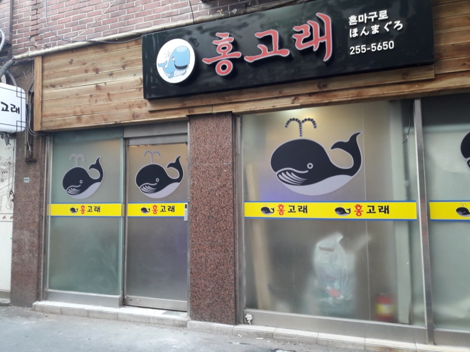 홍고래 사진 2