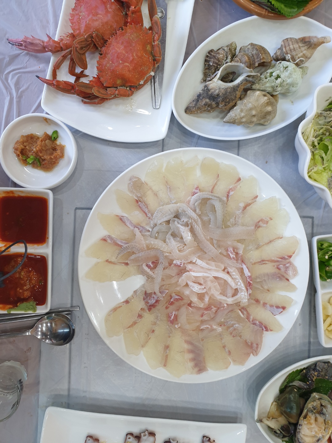 거북선회 사진 8
