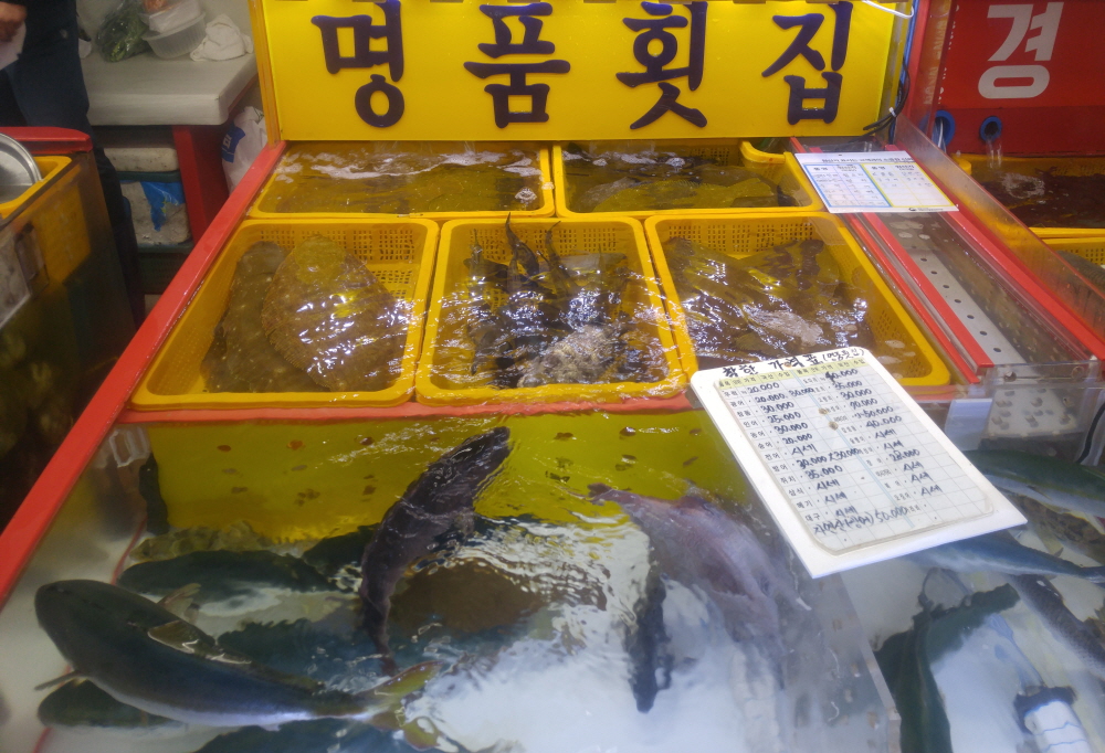 명품상회 대표 사진
