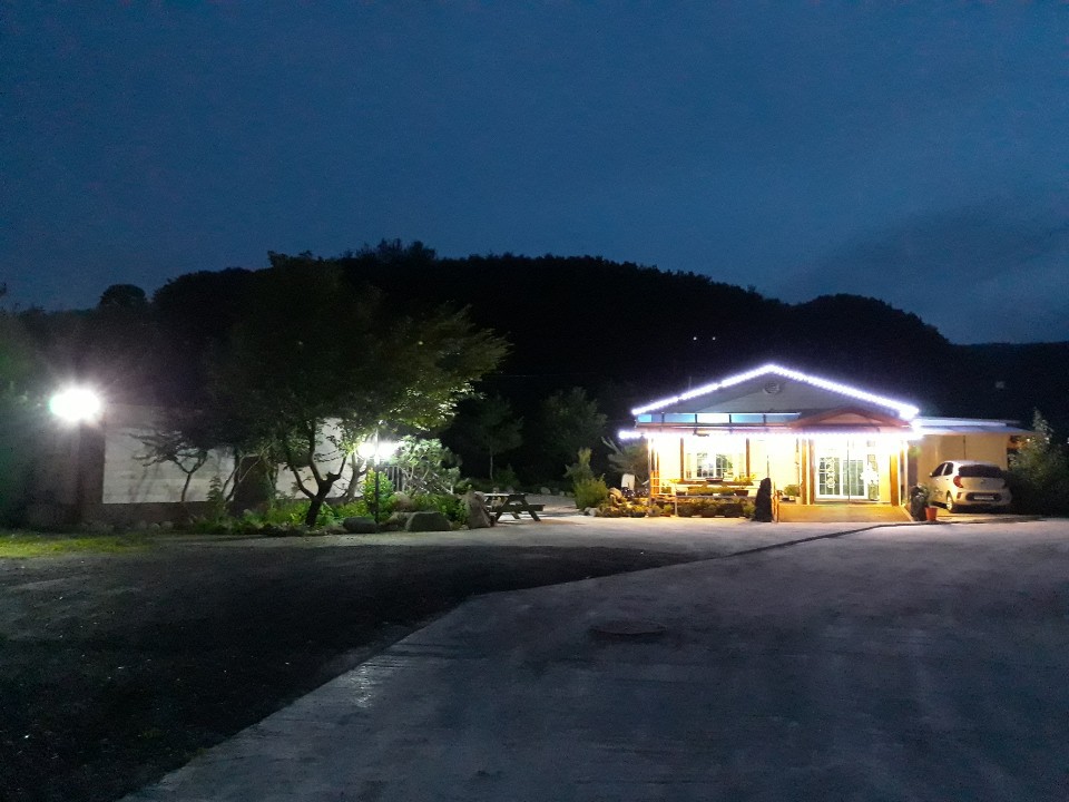 다솔숲 사진 6