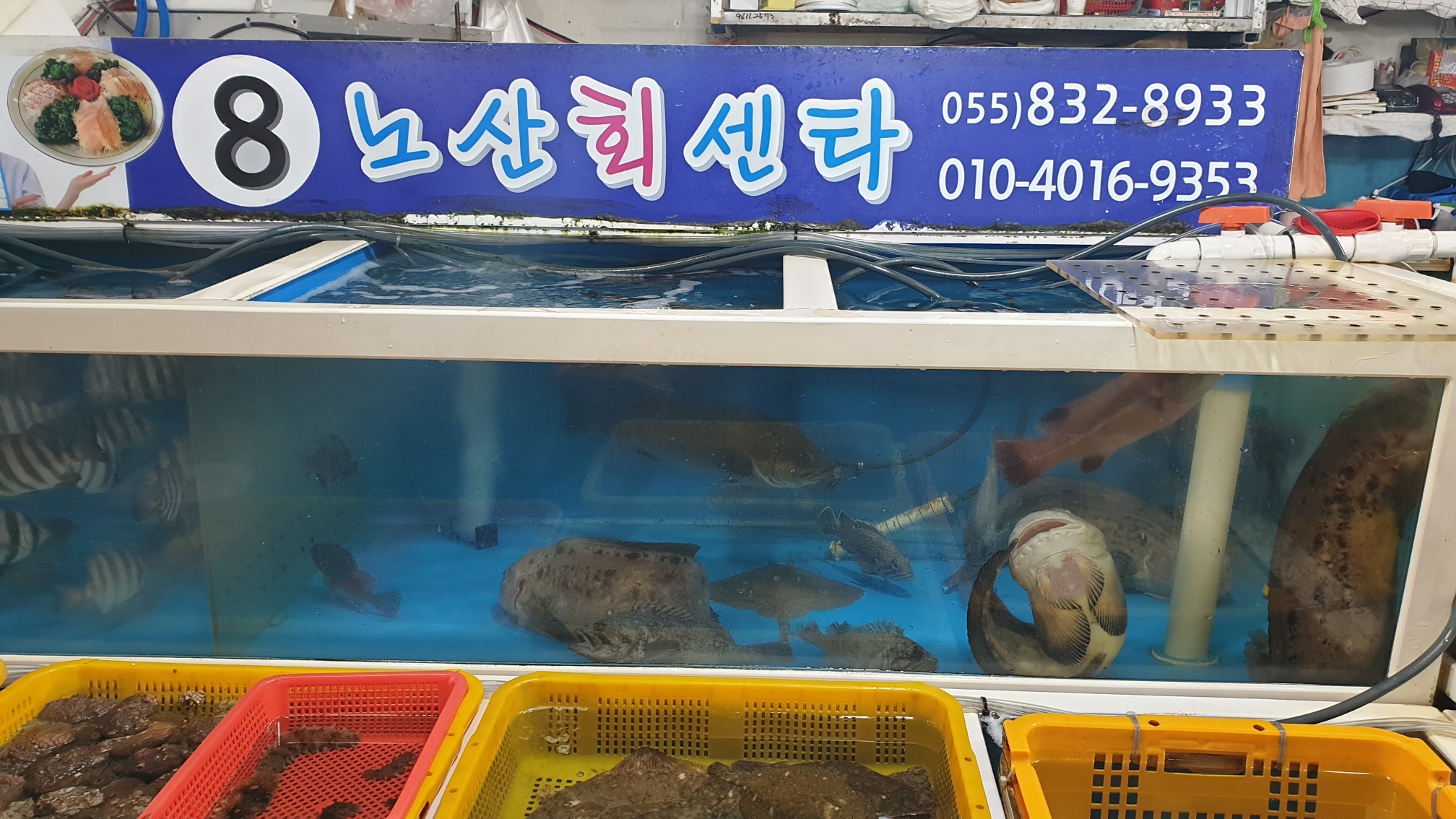 노산회센터 대표 사진