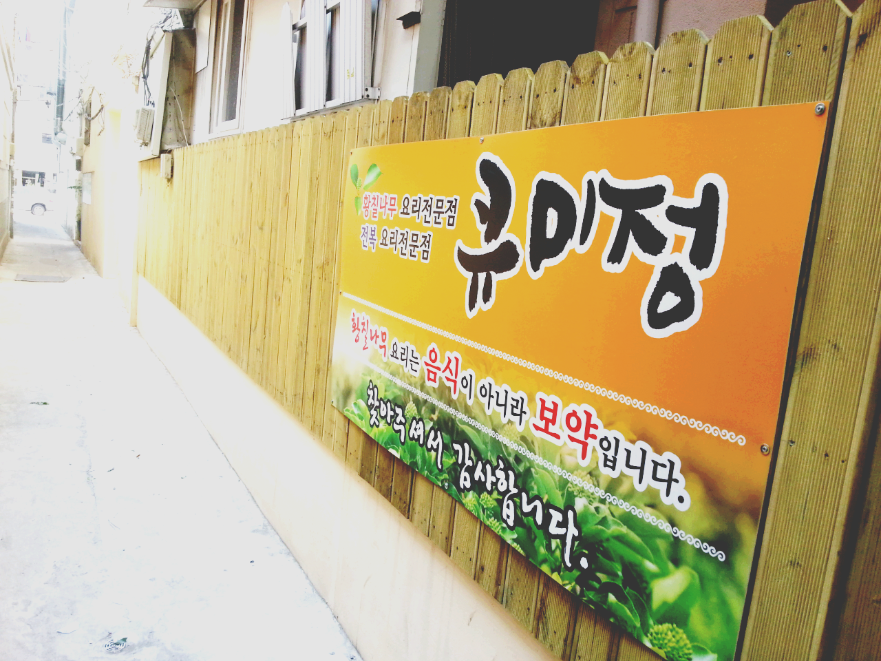 큐미정 대표 사진