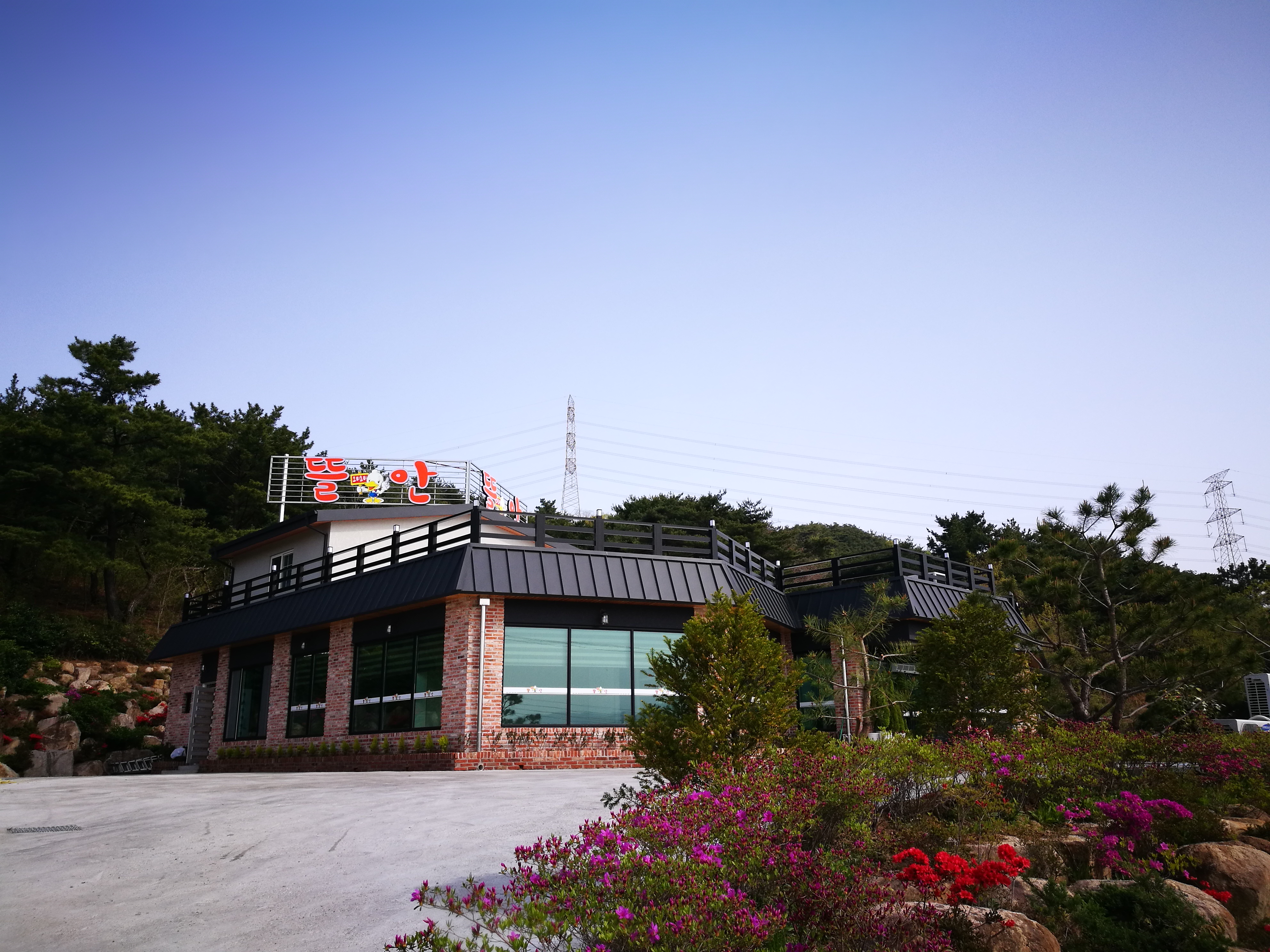 뜰안 사진 2