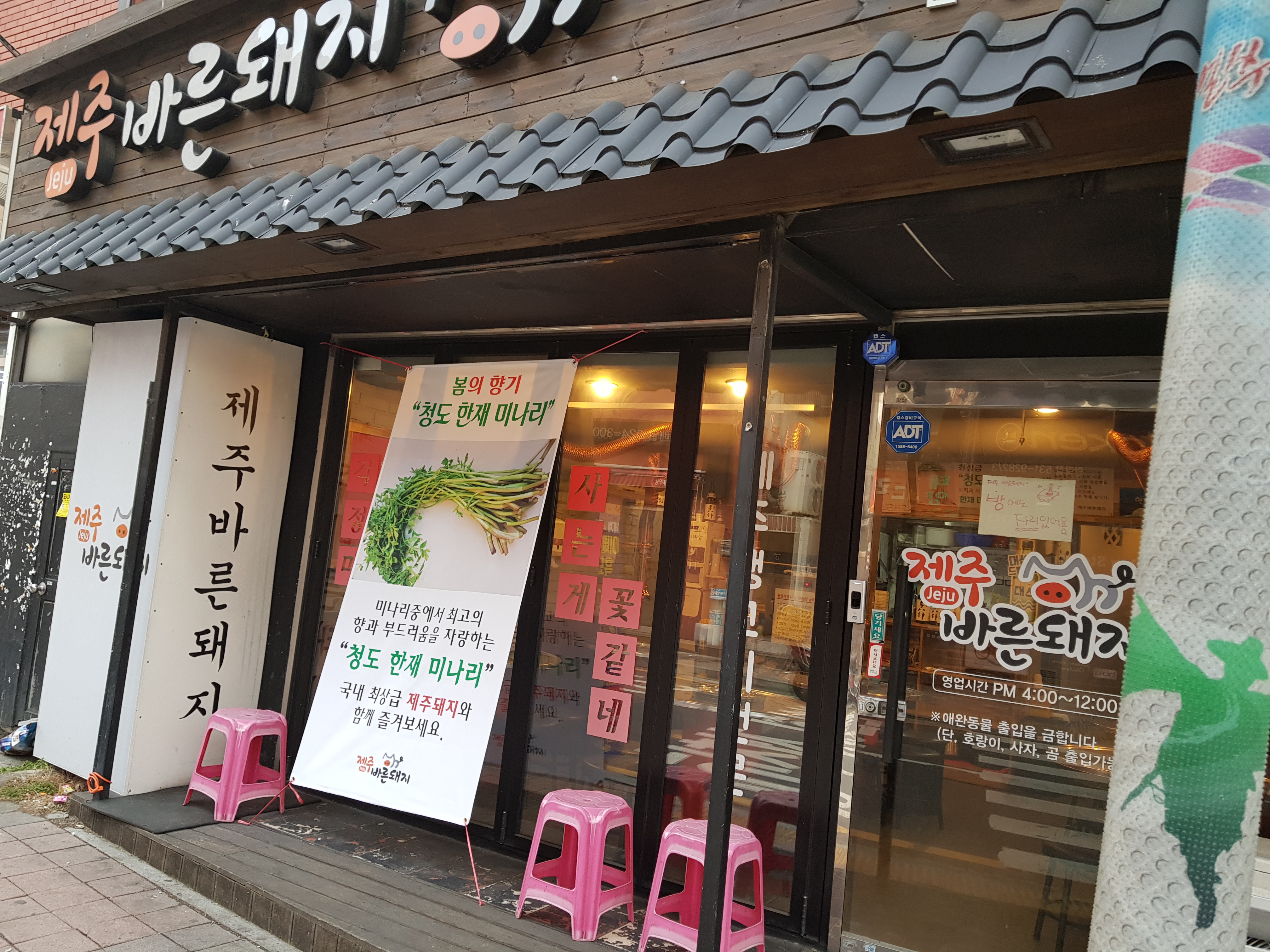제주바른돼지 사진 2