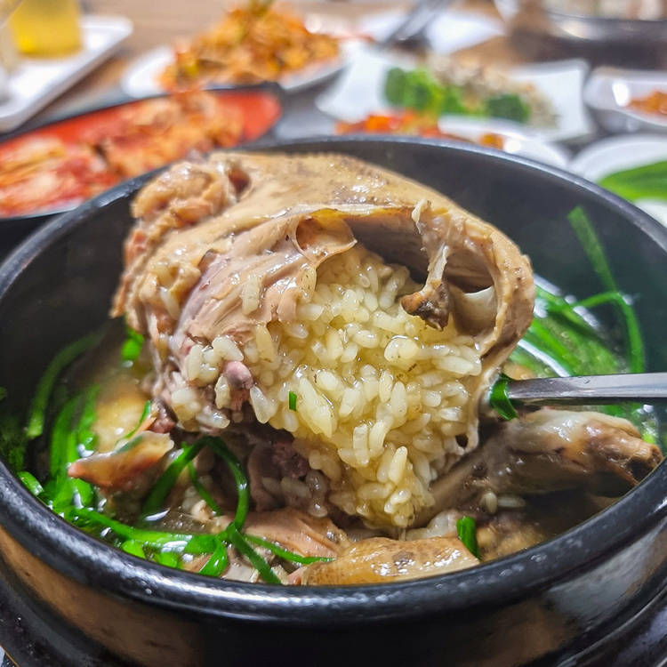미소참옻닭 5