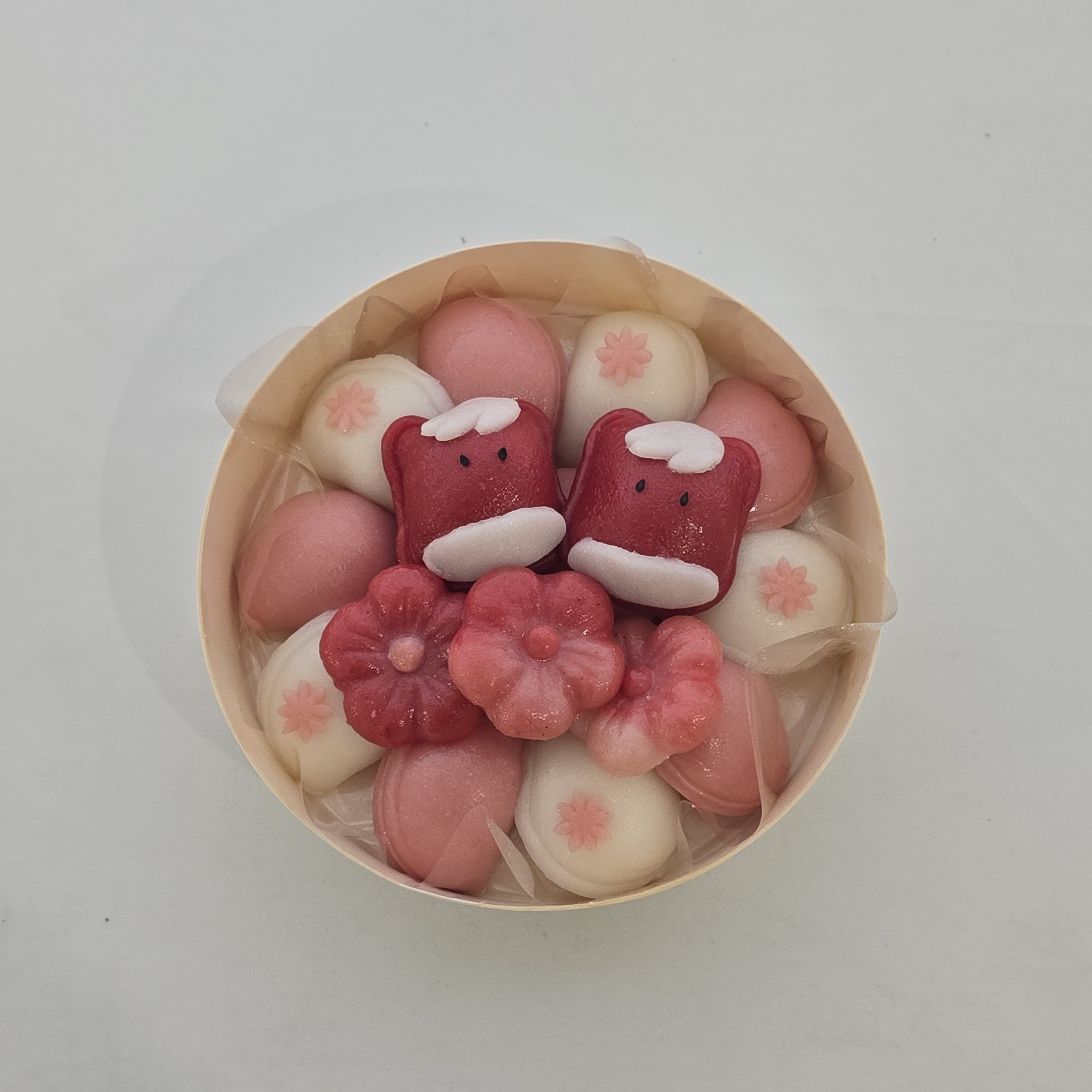 모아시루 사진 8