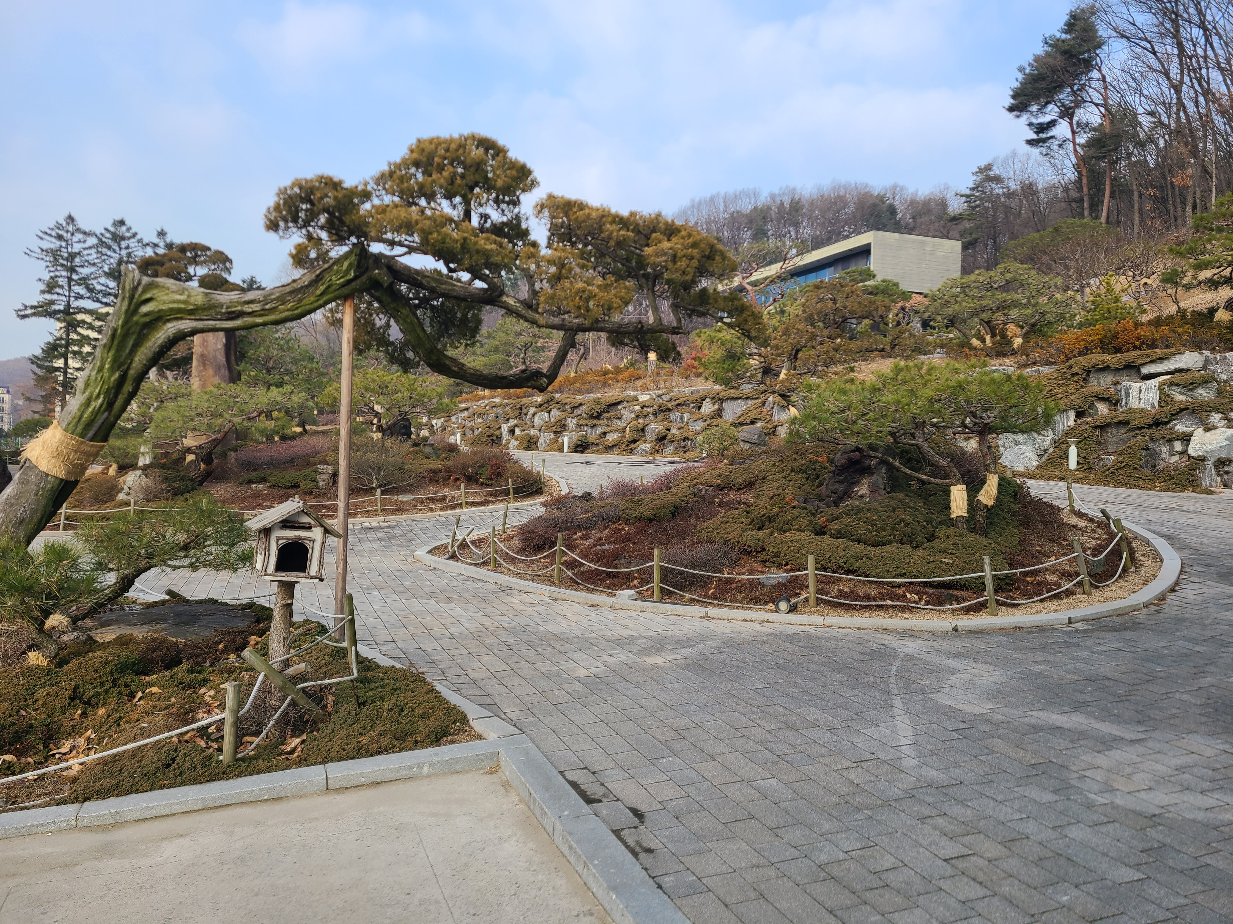 Myeongganurungjibaeksuk (명가누룽지백숙) 1