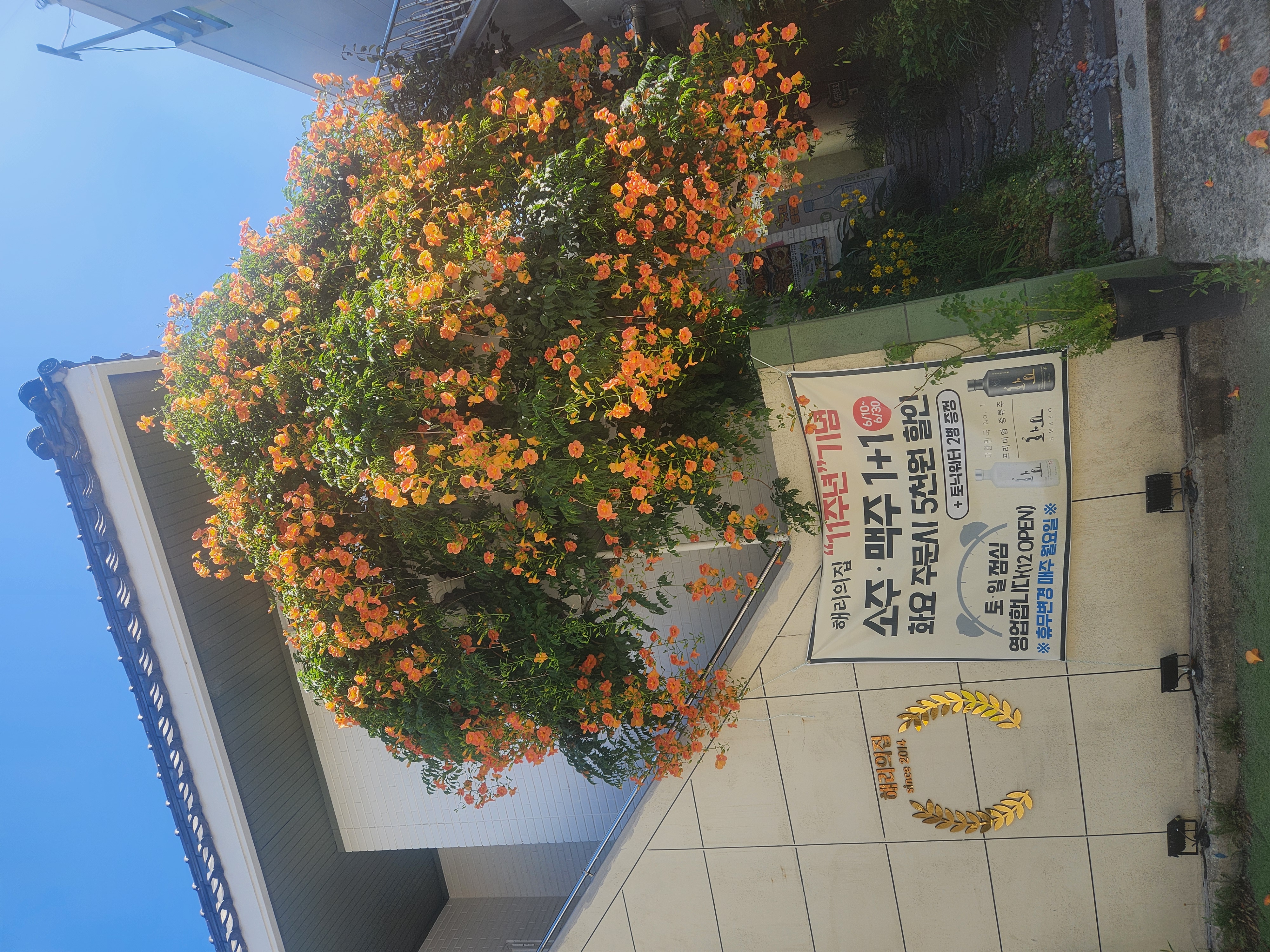 Haeriuijip 1