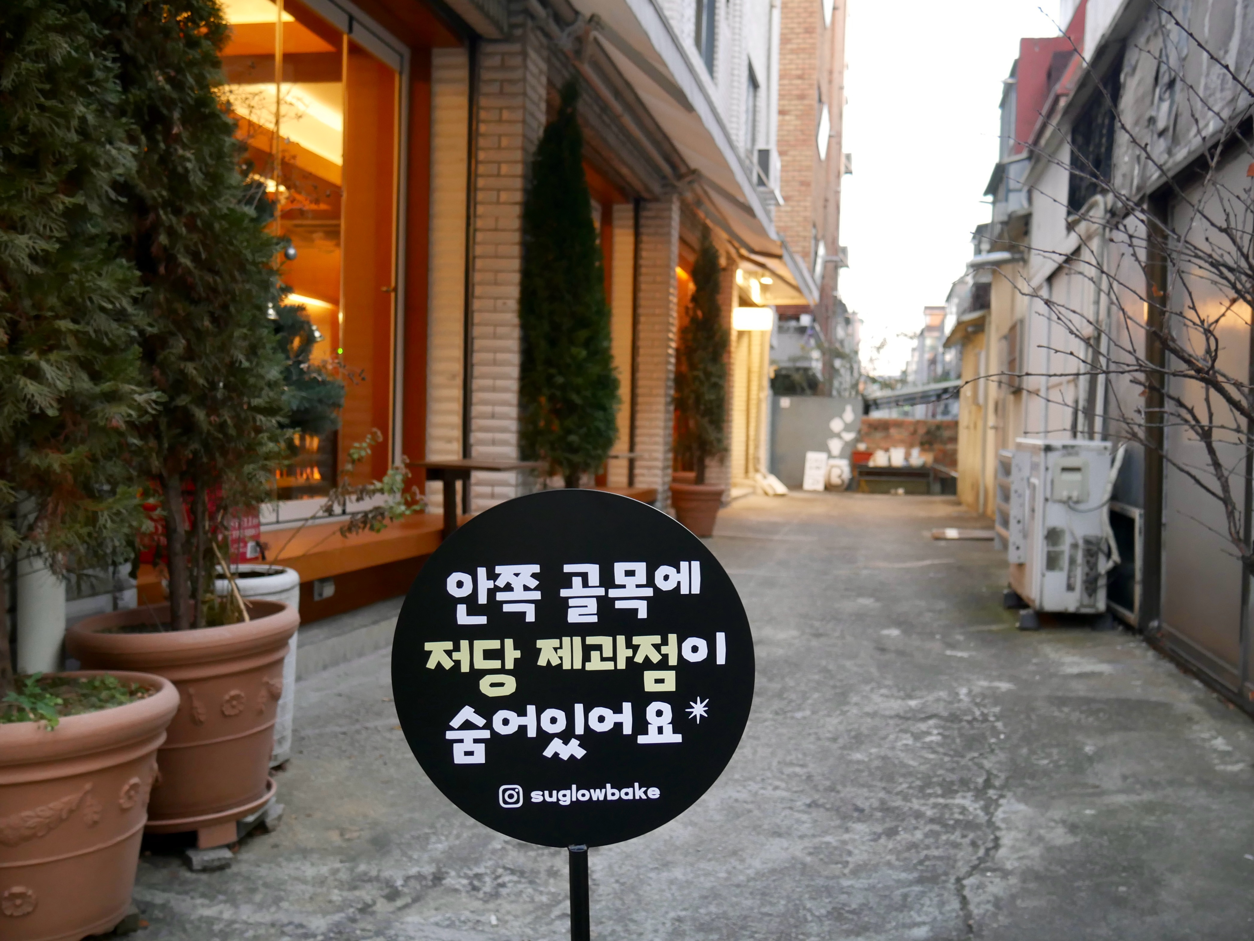 슈글로우 사진 5