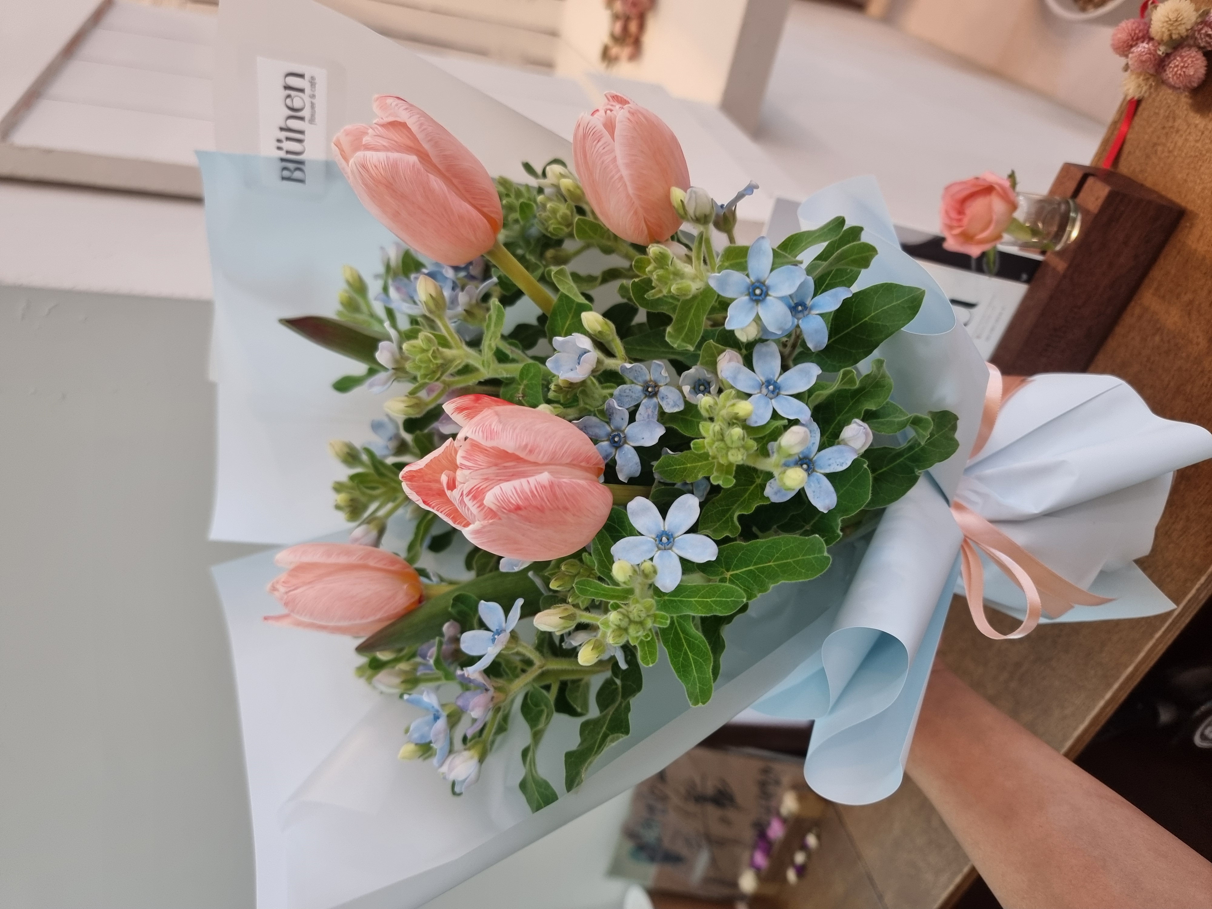 블뤼엔 사진 4