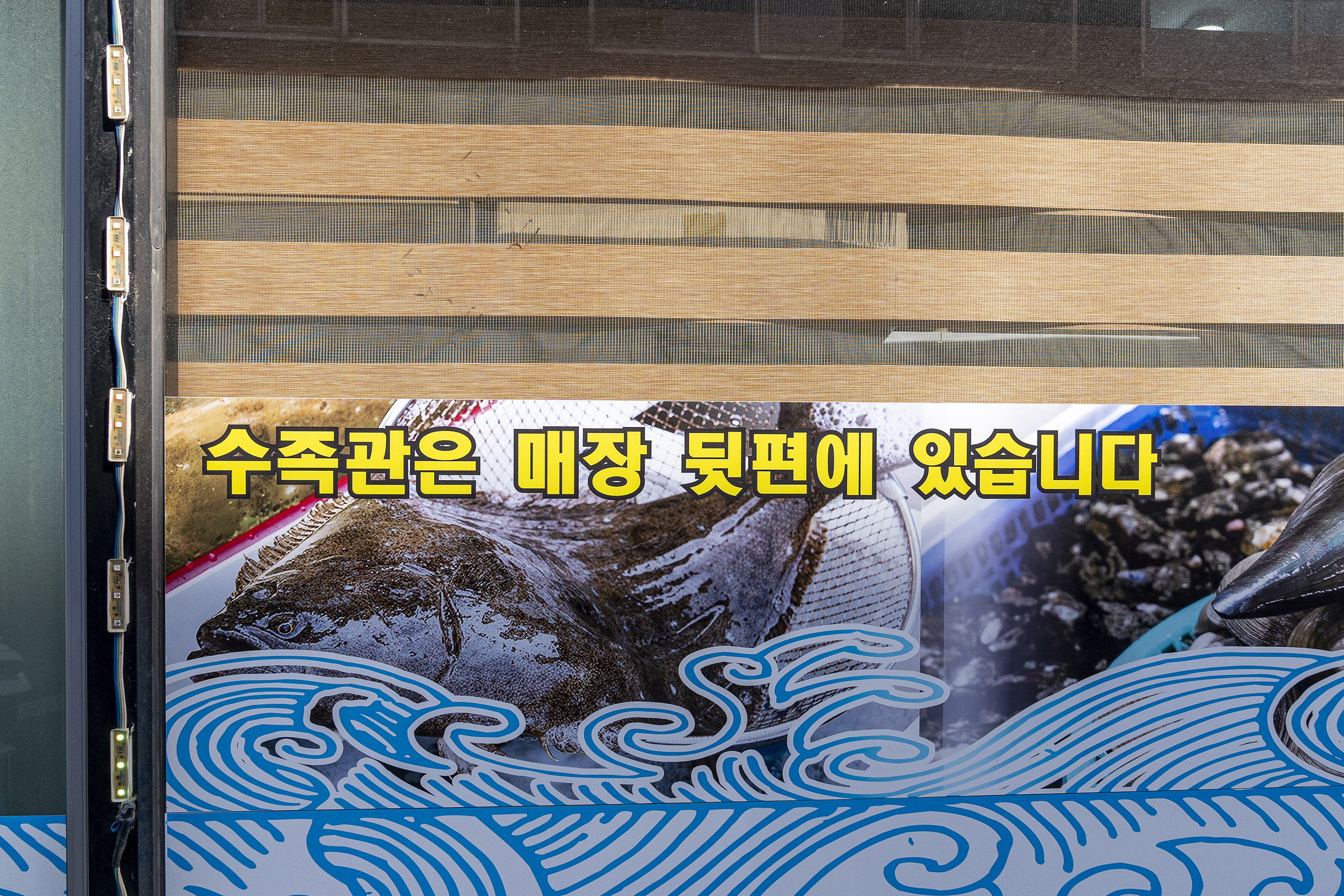 회가 6