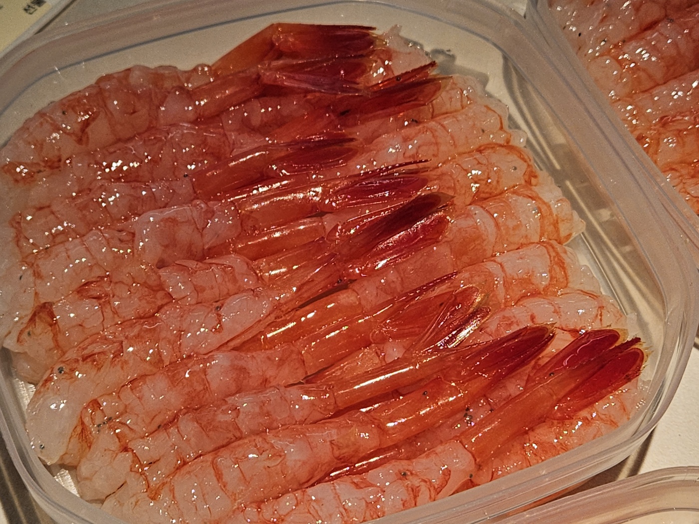 속초통밭단새우회(급랭보관)