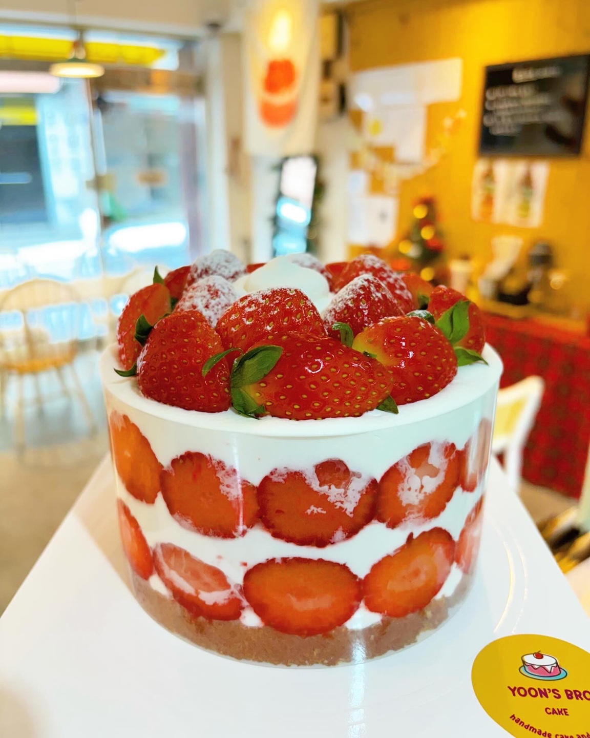 윤스브로 사진 5