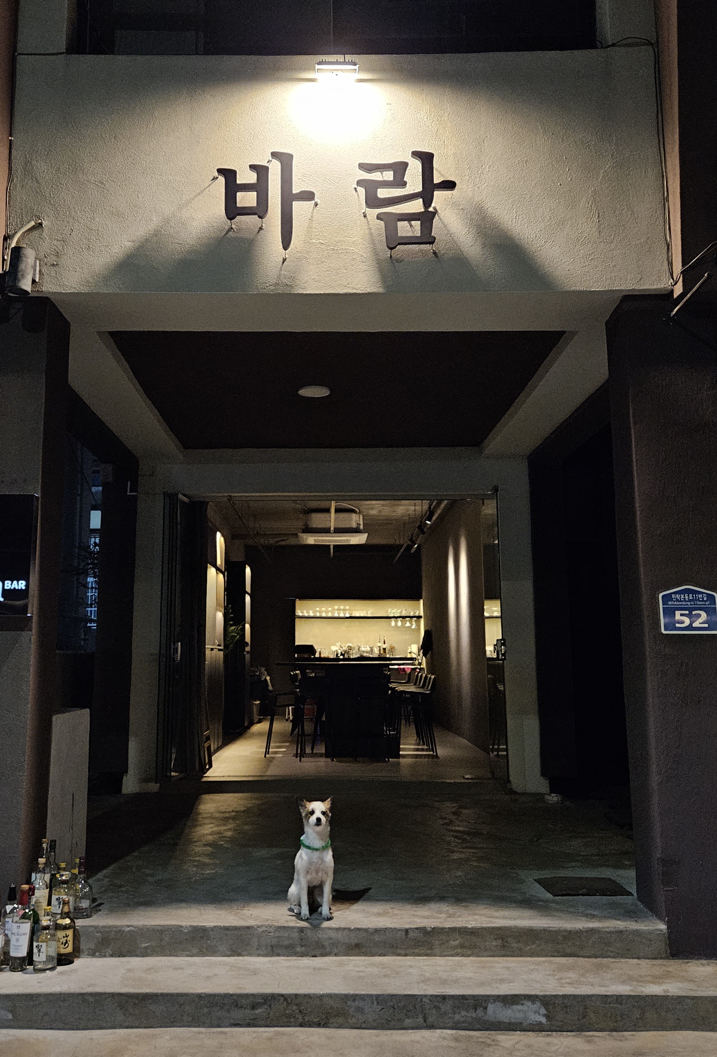바람 대표 사진