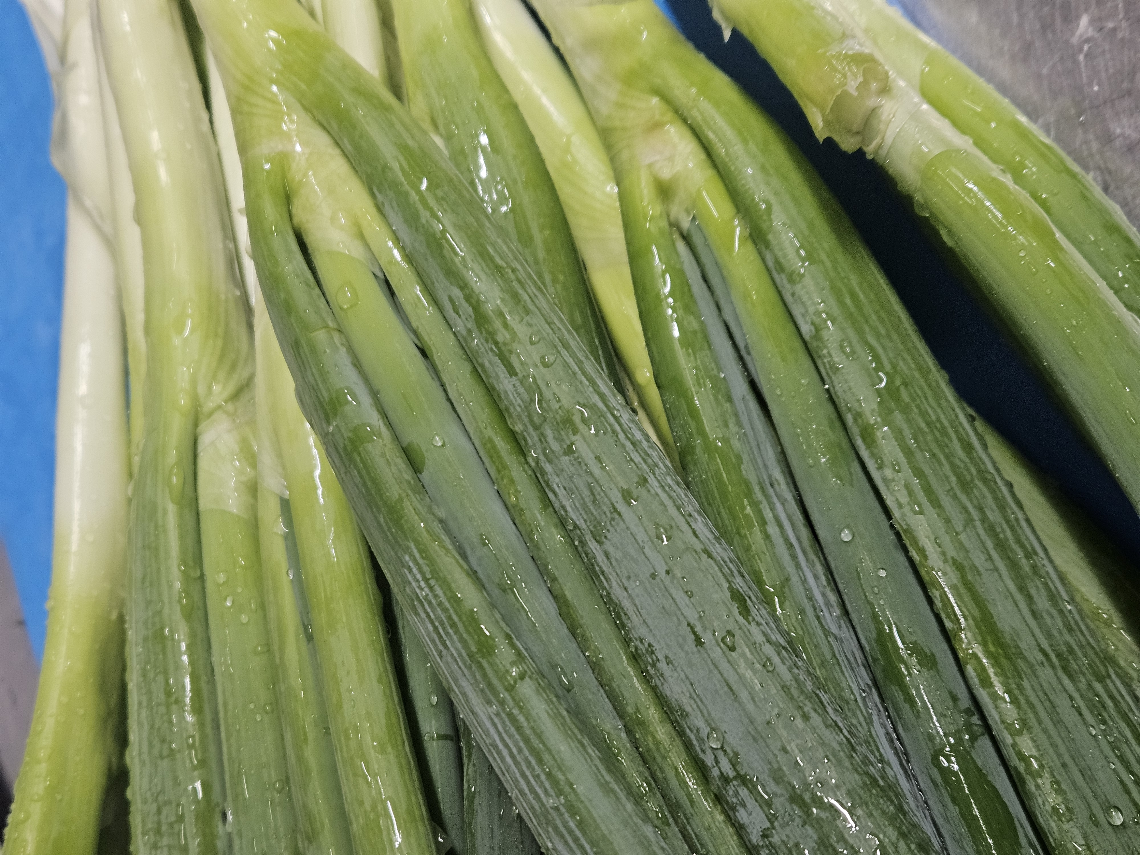 Dongdaemunyeopgitteokboki (동대문엽기떡볶이) 2
