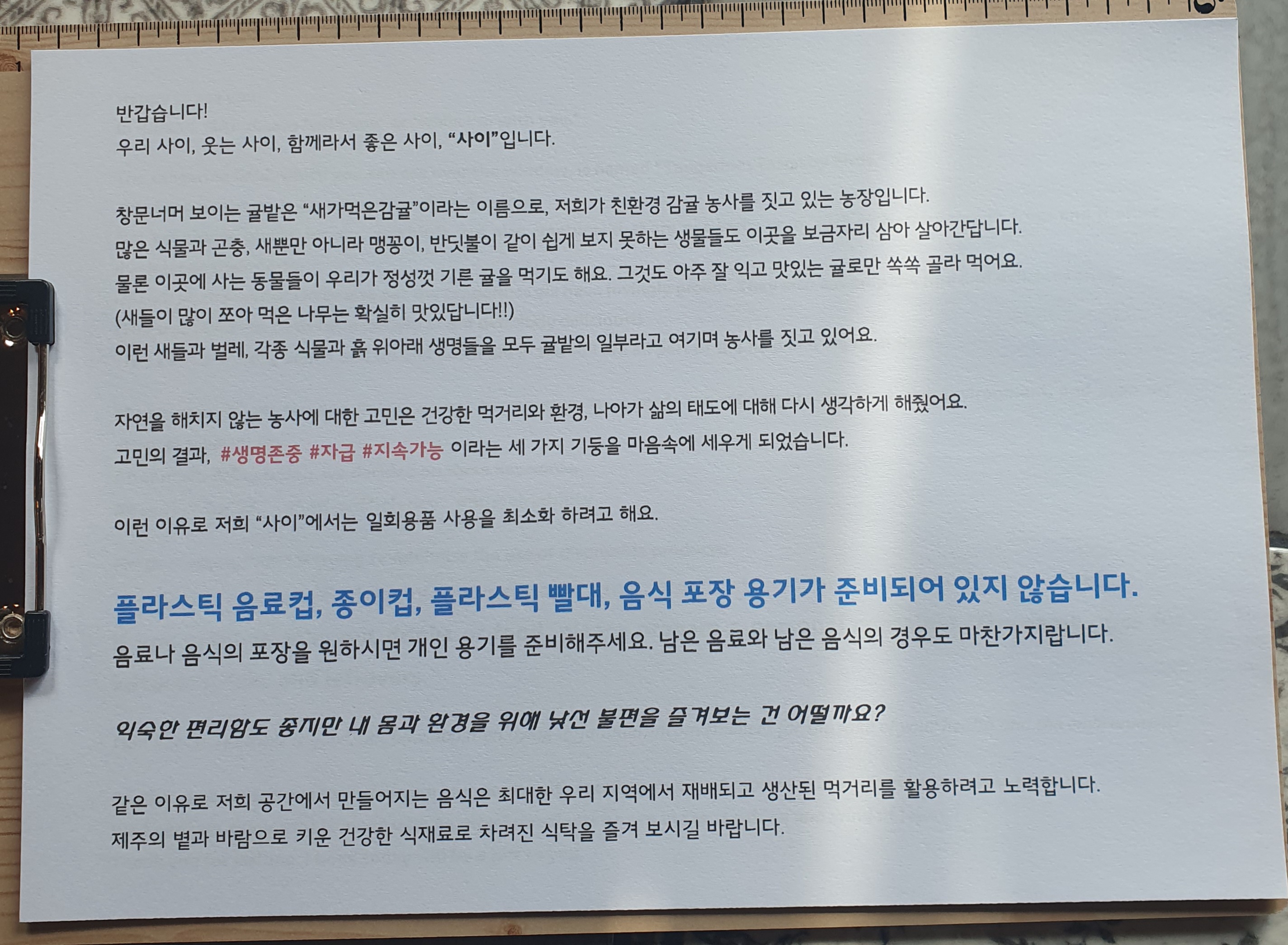 사이 제주 사진 3