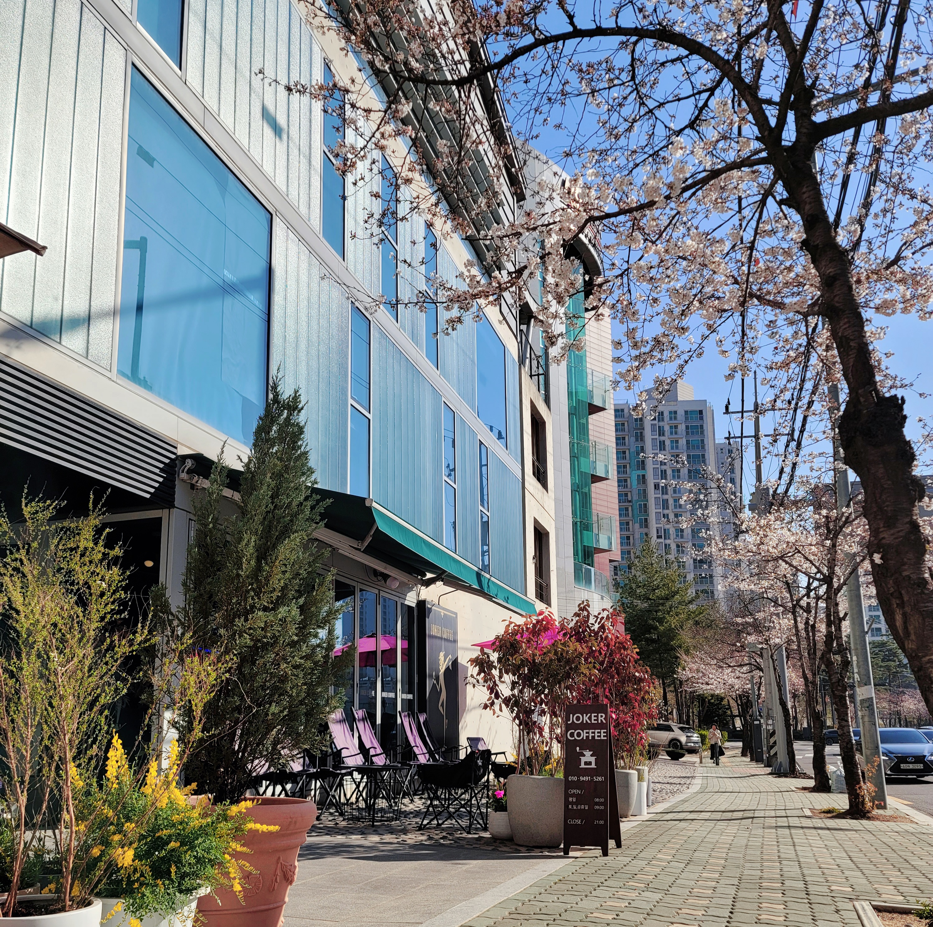 카페엠