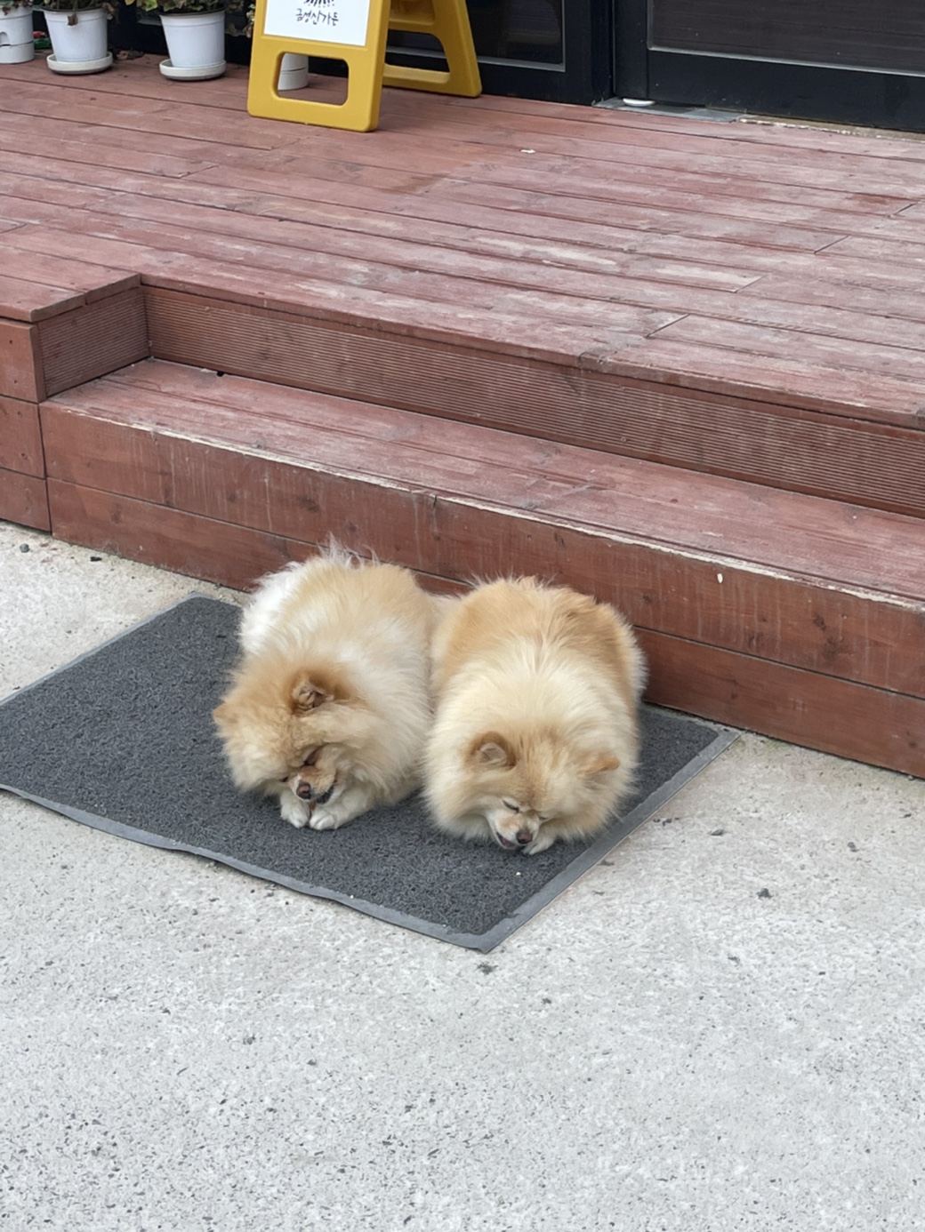금성산가든 사진 6