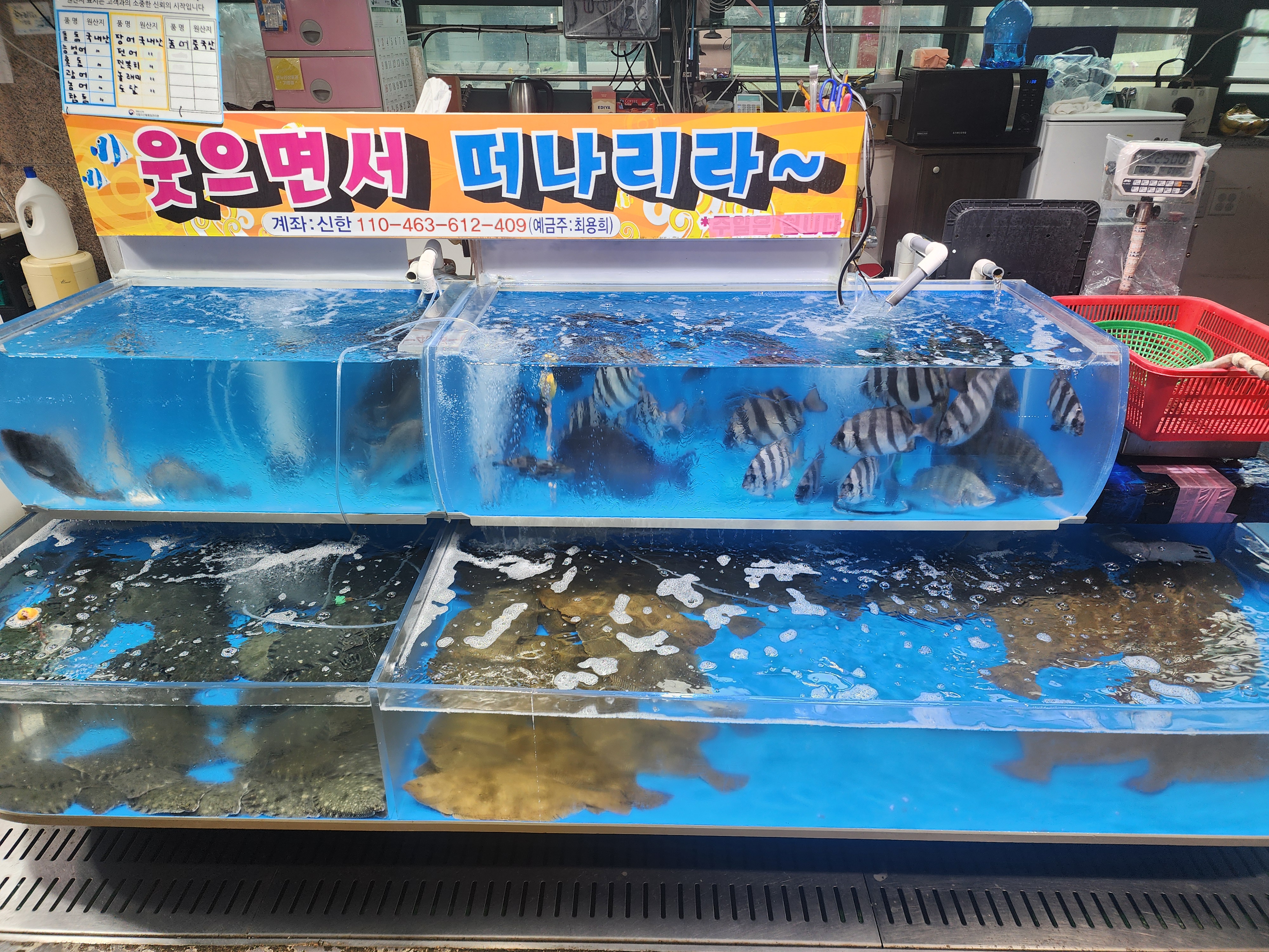 일이삼수산 사진 4