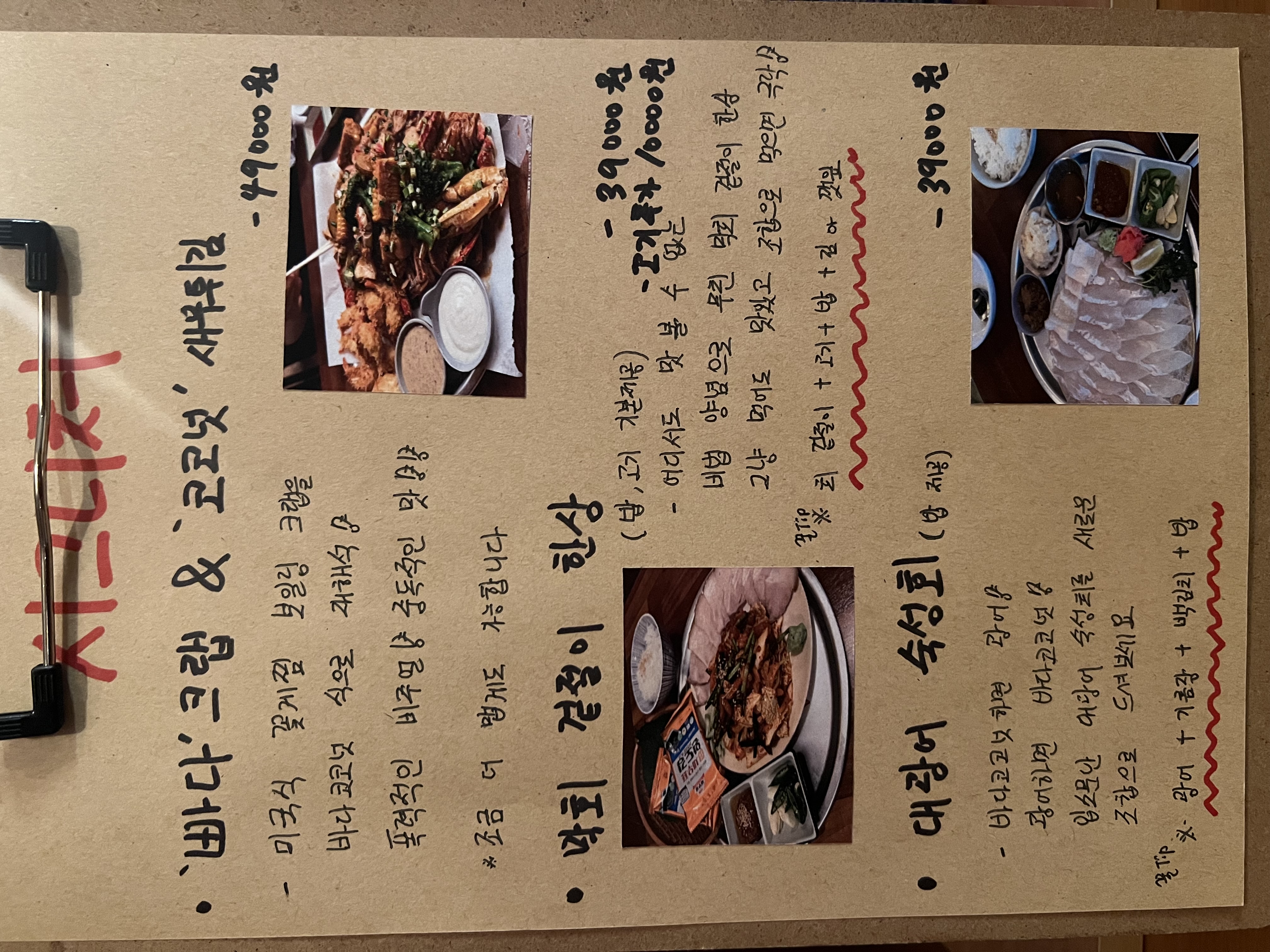바다코코넛 사진 3