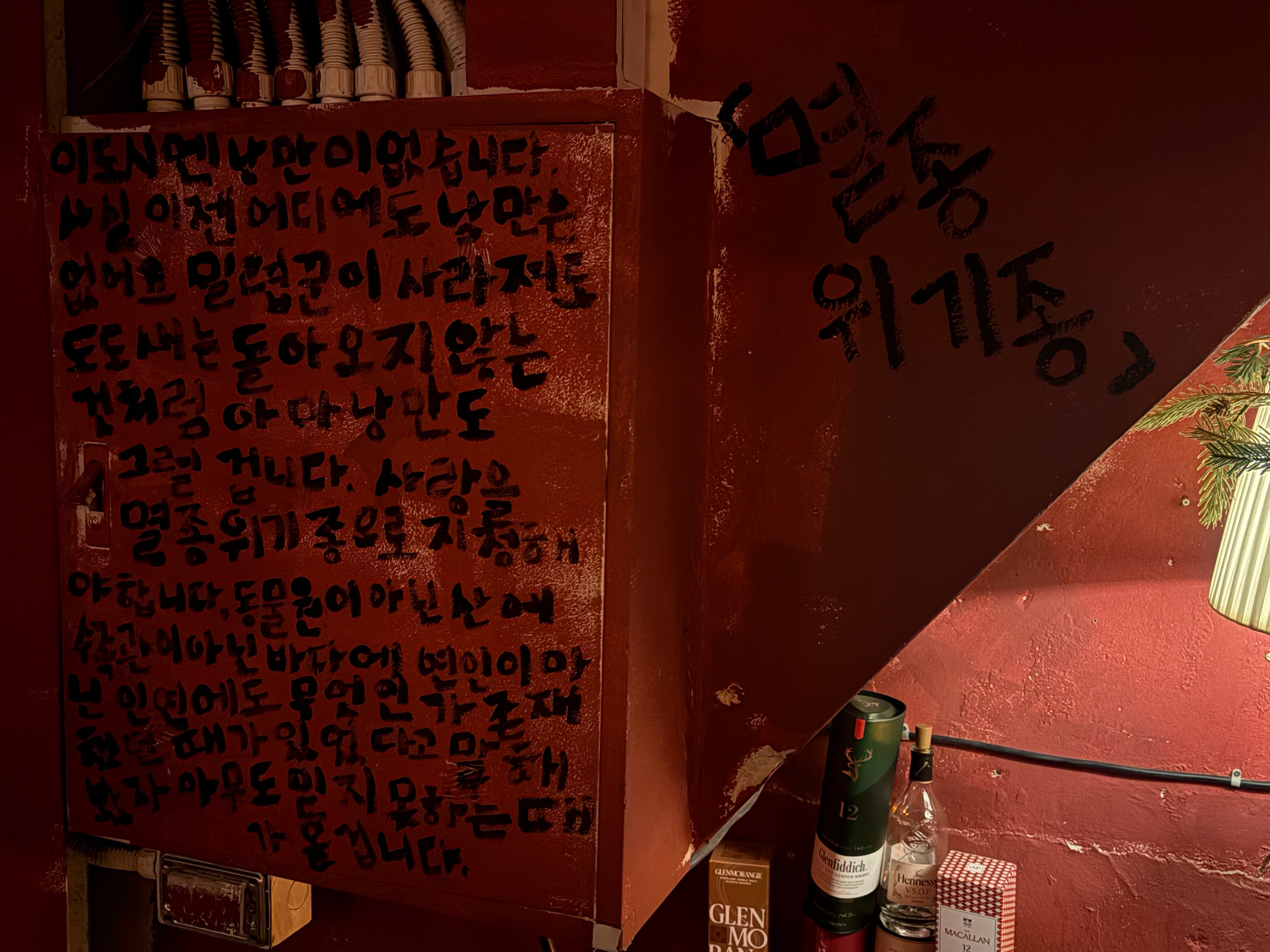 멸종위기 혼술바 전포점 사진 8