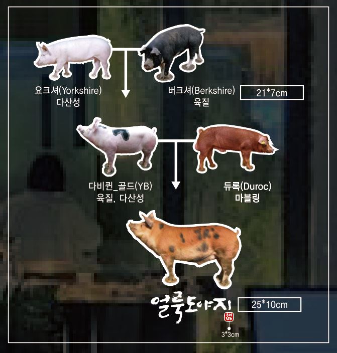 금고 4