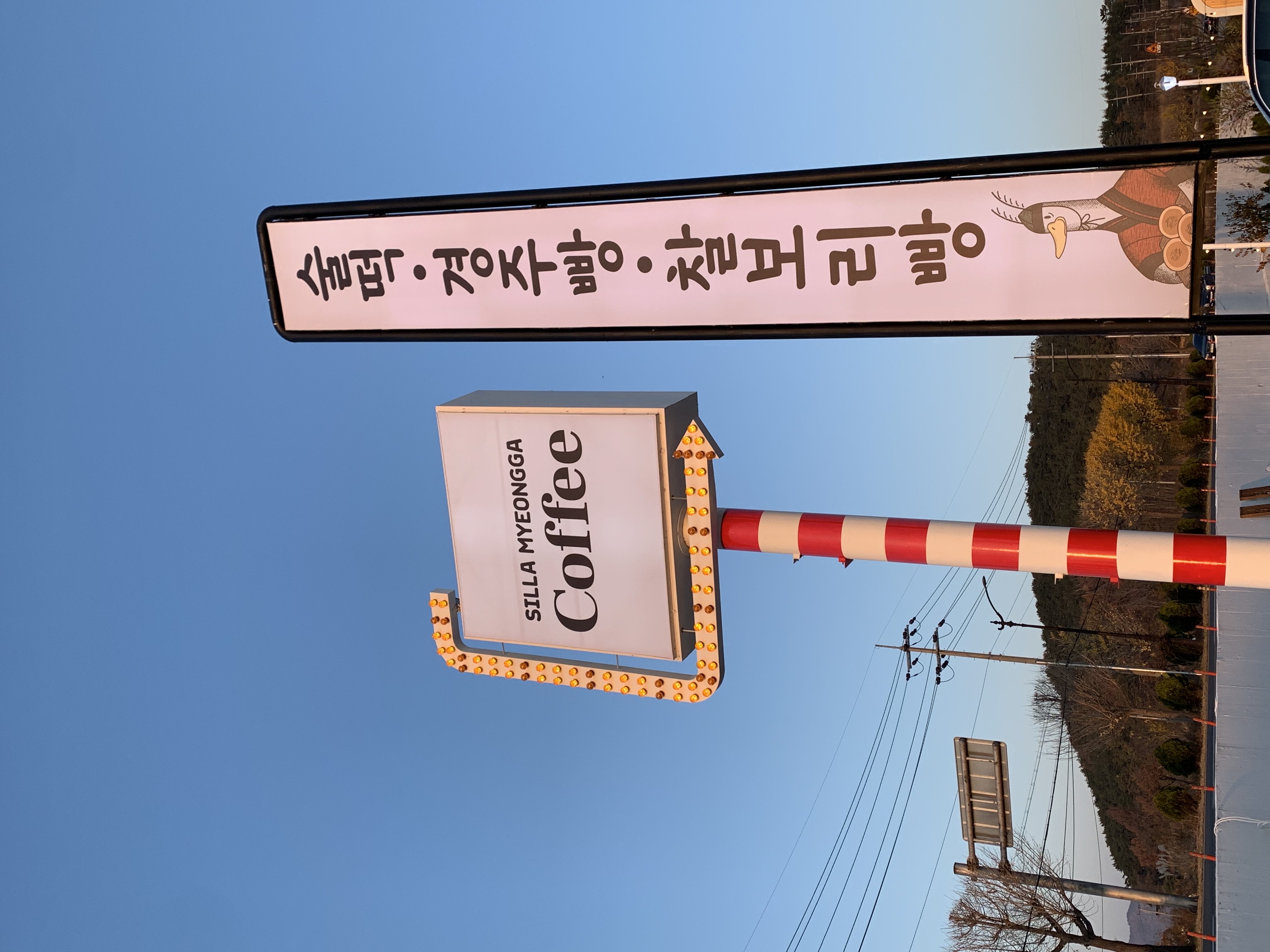 신라명가 새오릉점 경주빵 찰보리빵 사진 4
