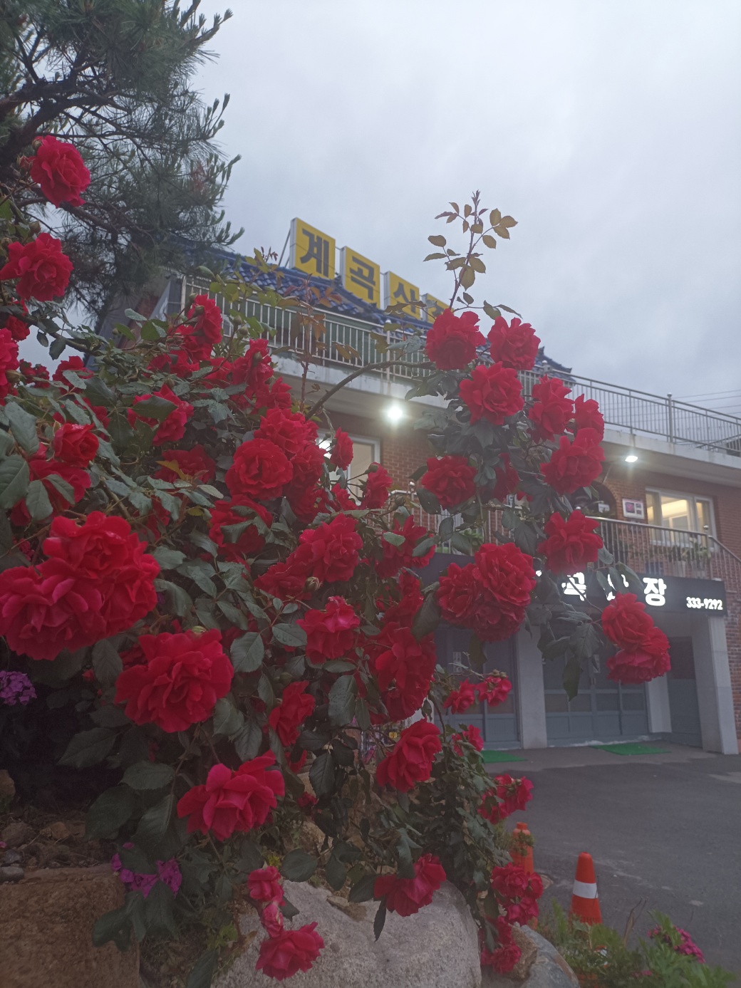 계곡산장 사진 2