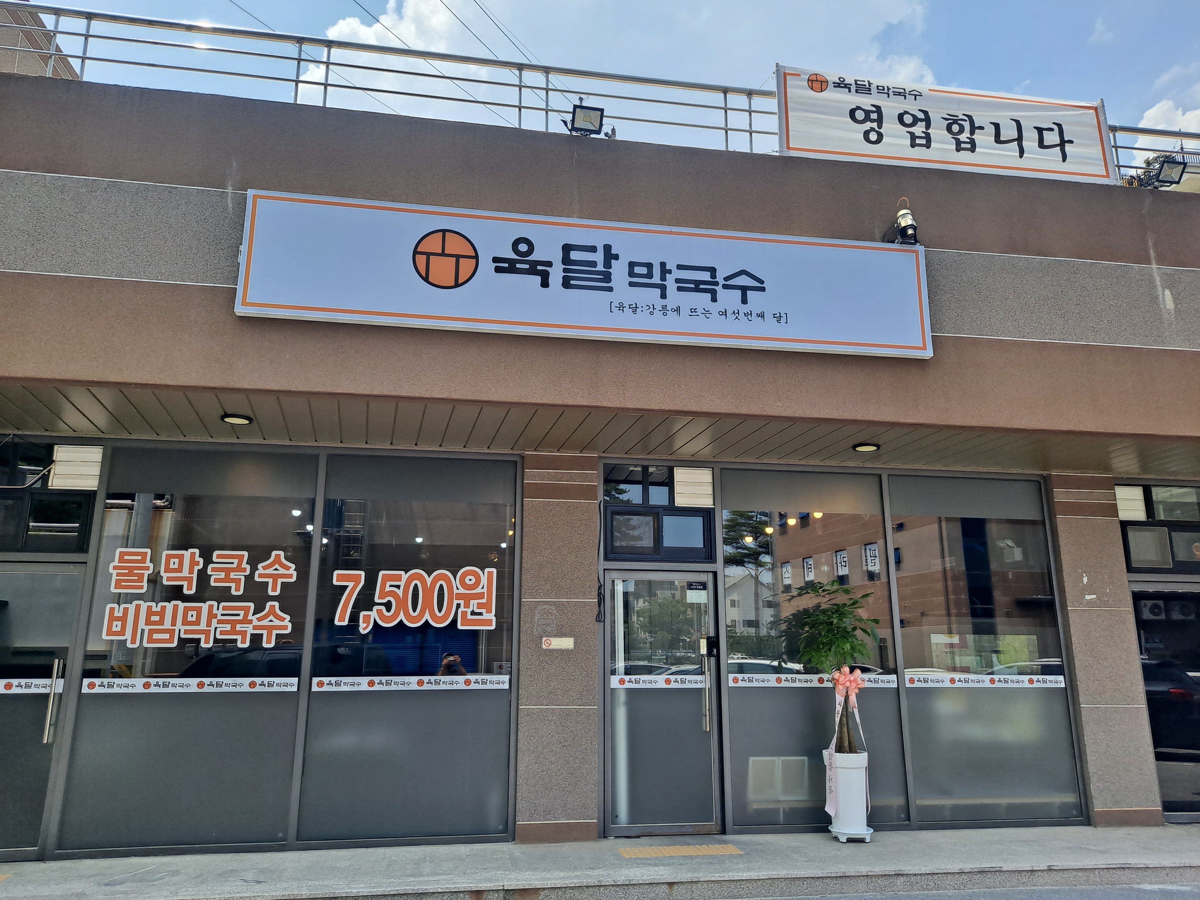 육달막국수 사진 2