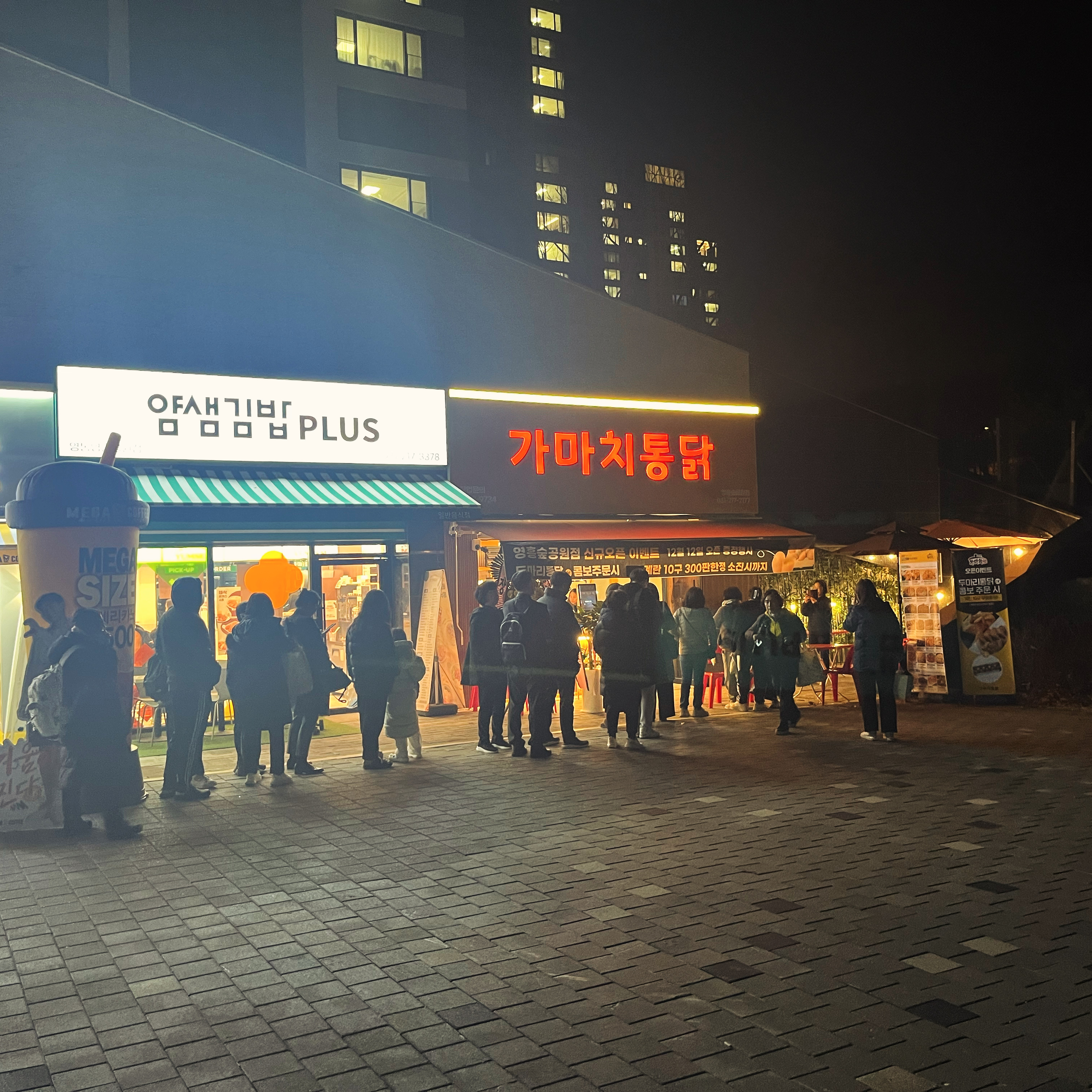 가마치통닭 영흥숲공원점 사진 7