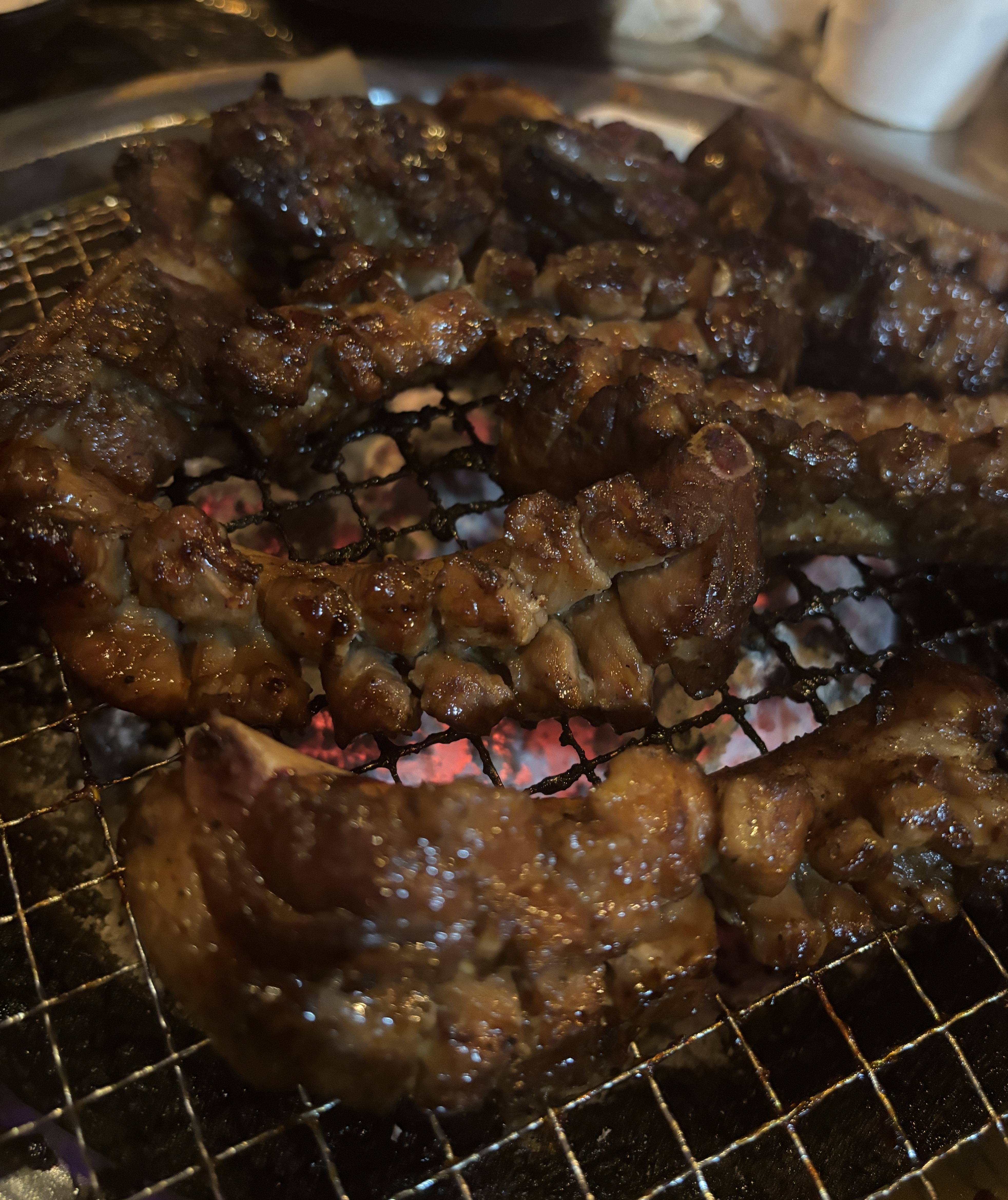 Rokgalbi 3