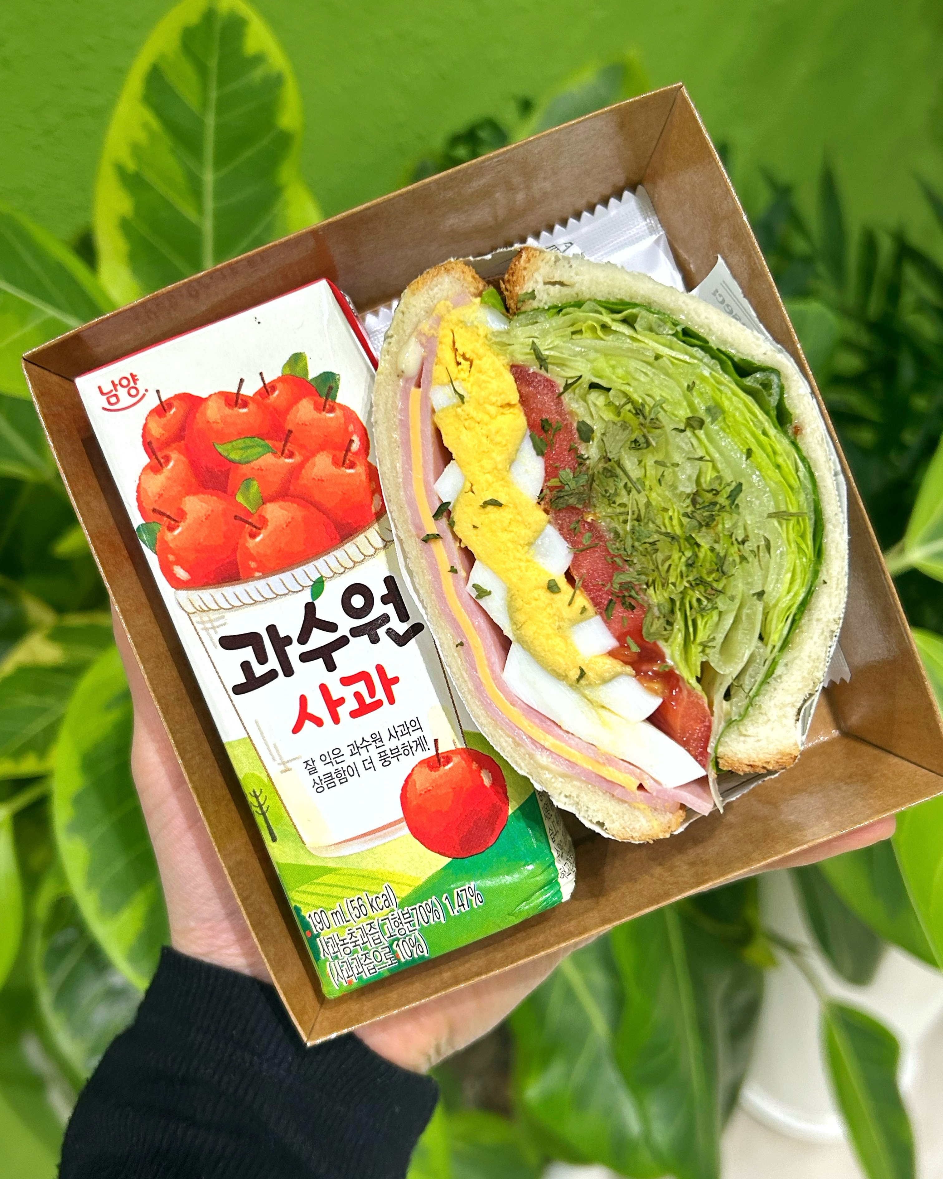그린그로우 사진 8