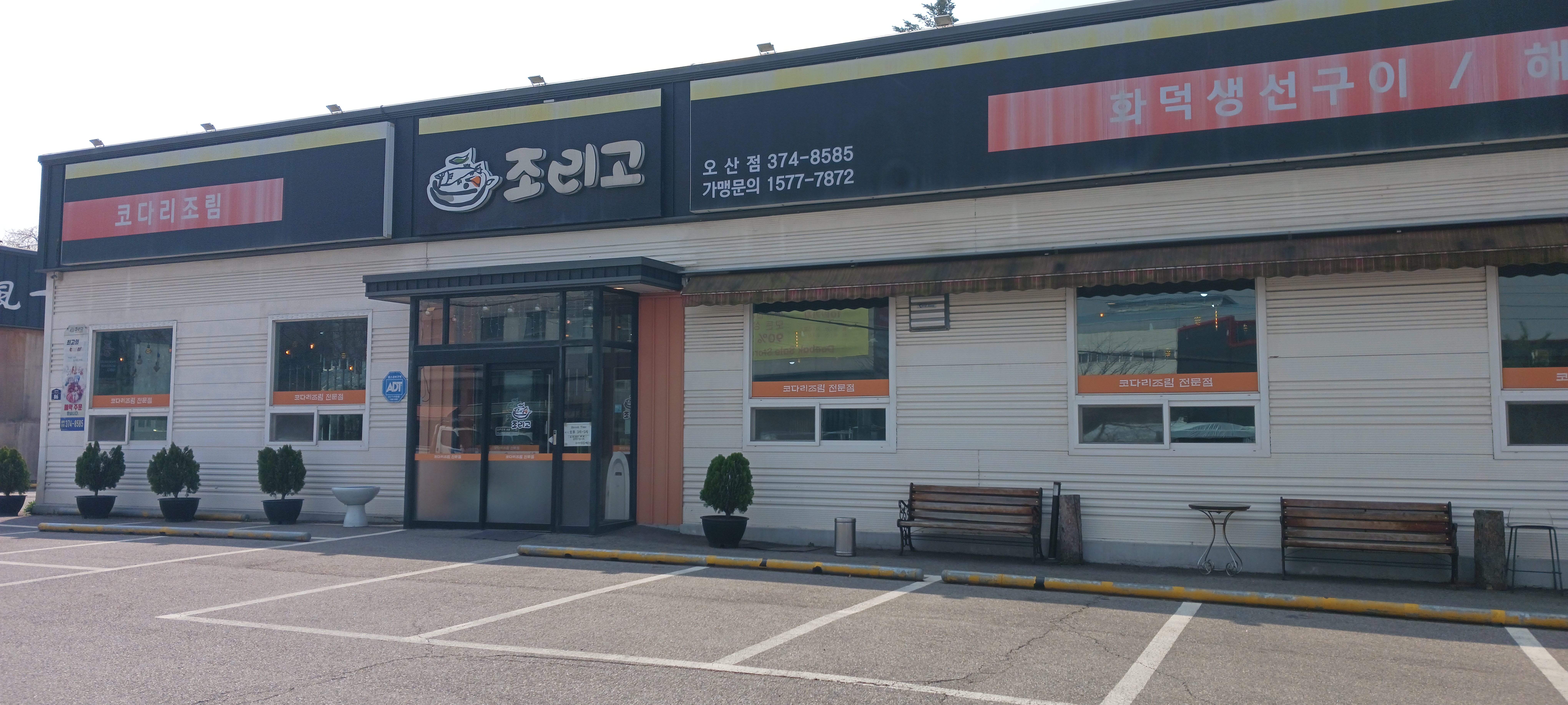 Jorigo (조리고) 1