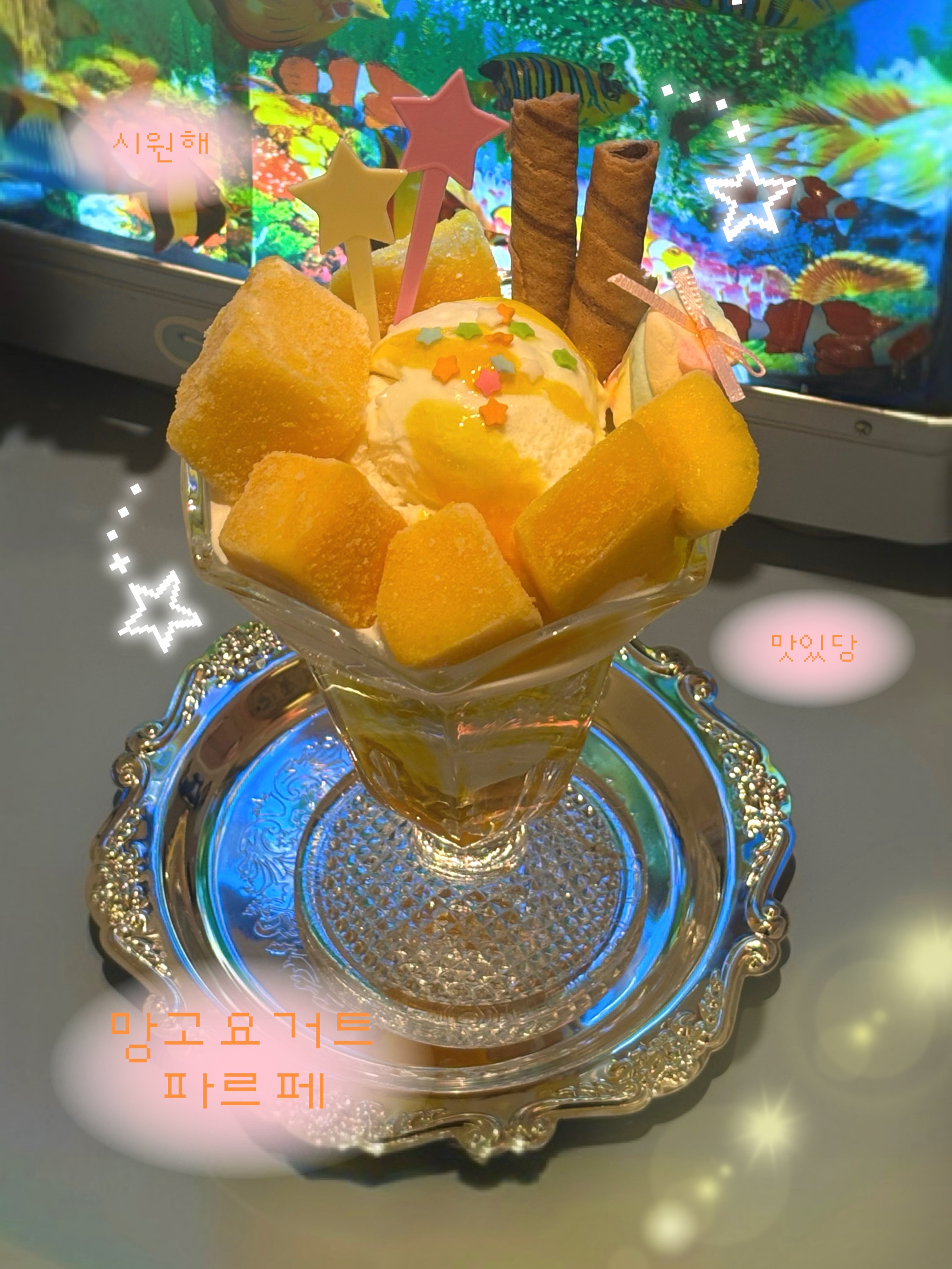 크림 5
