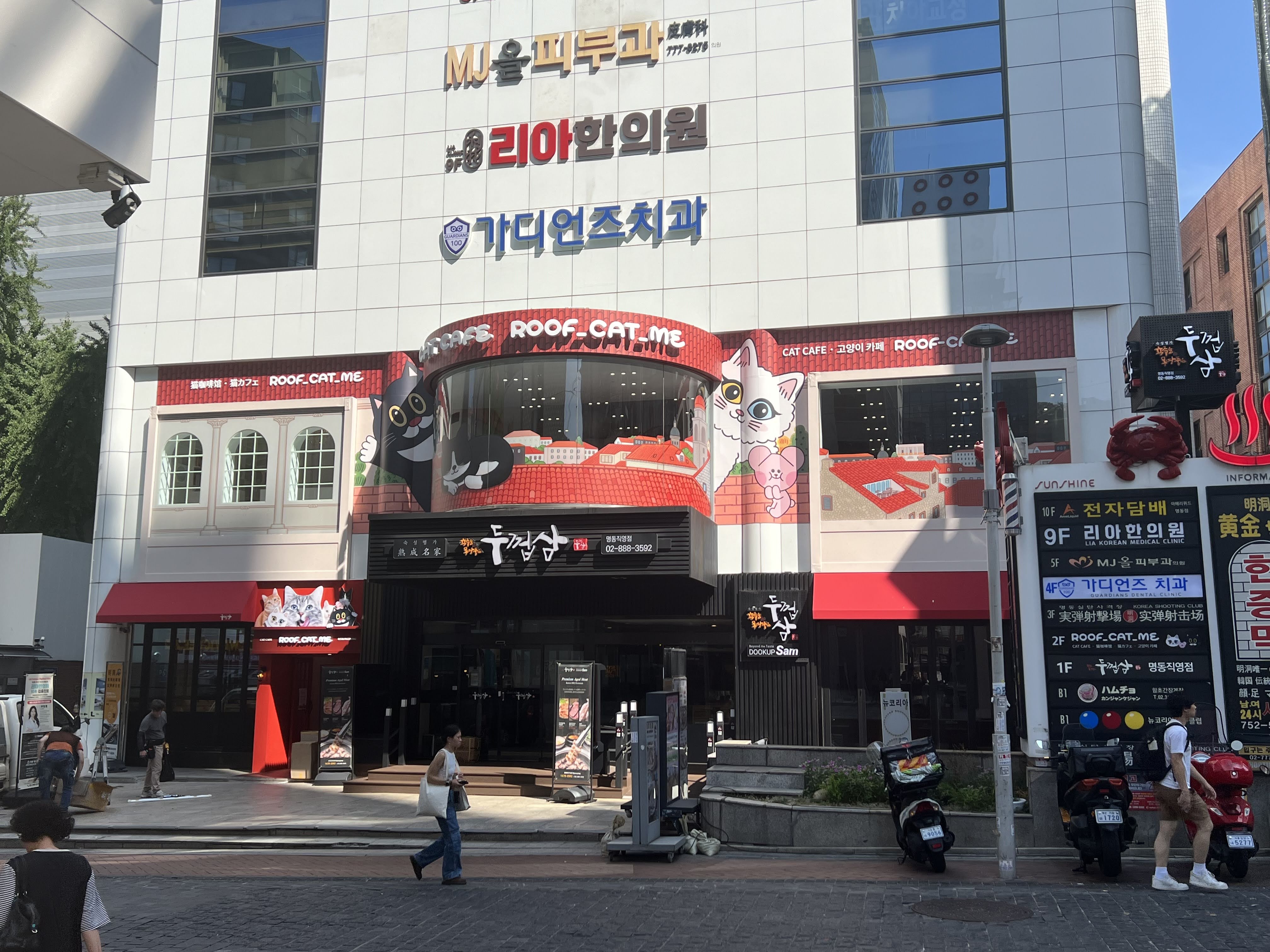 루프캣미 고양이카페 명동점