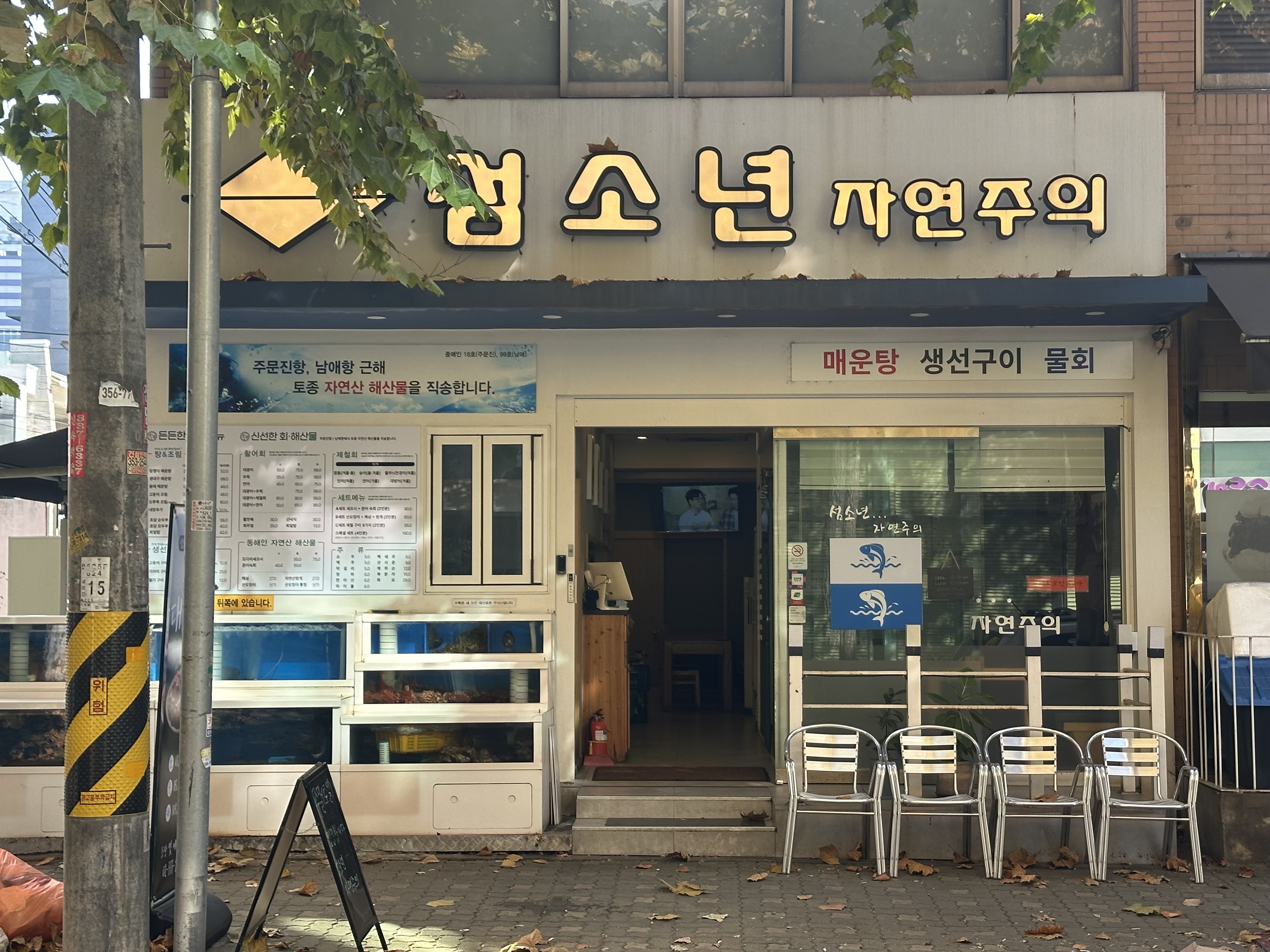 섬소년자연주의 사진 7