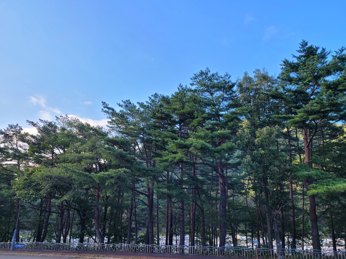 설악산과동해바다그리고온천 5